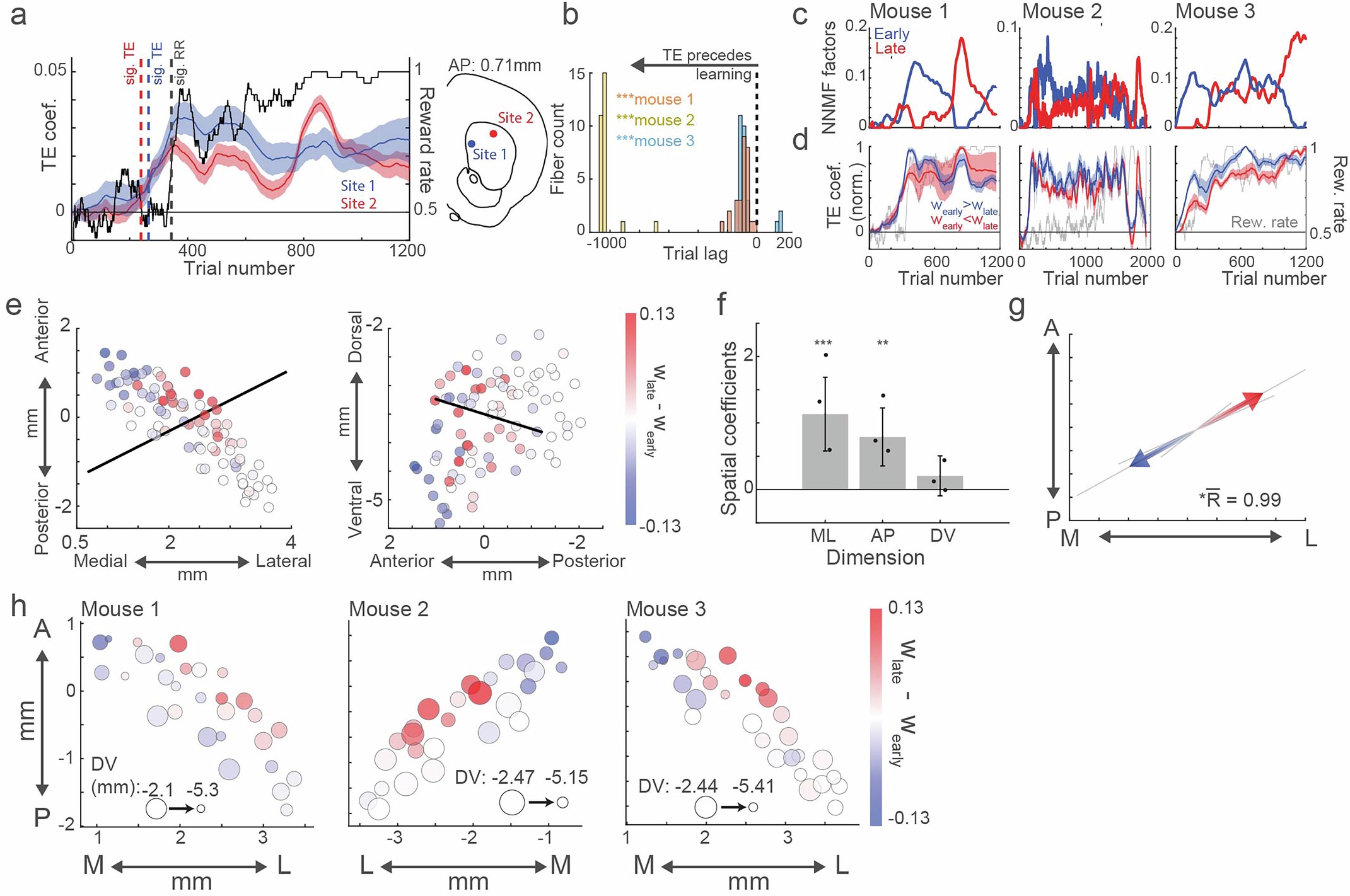 Extended Data Fig. 10: Spatial and temporal variations in TE expression across learning.