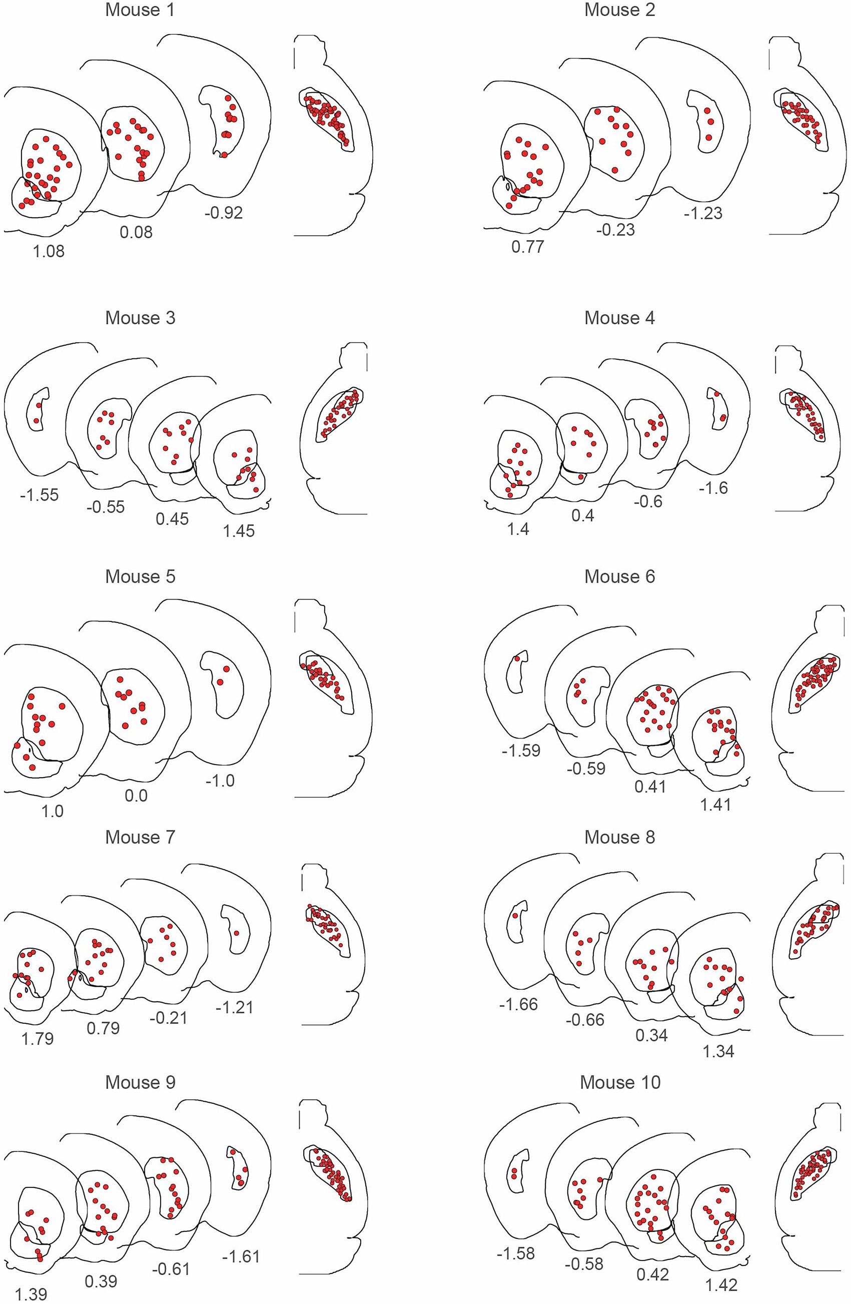 Extended Data Fig. 1: Locations of all fibers across individual mice.