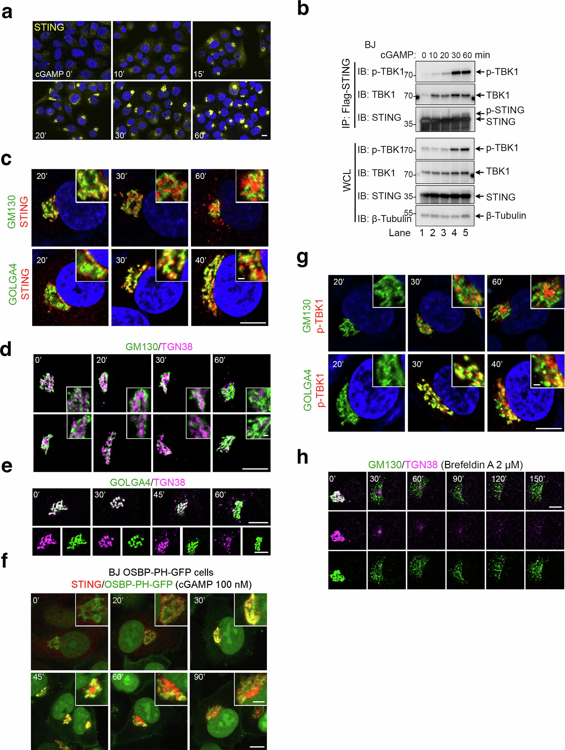 Extended Data Fig. 1