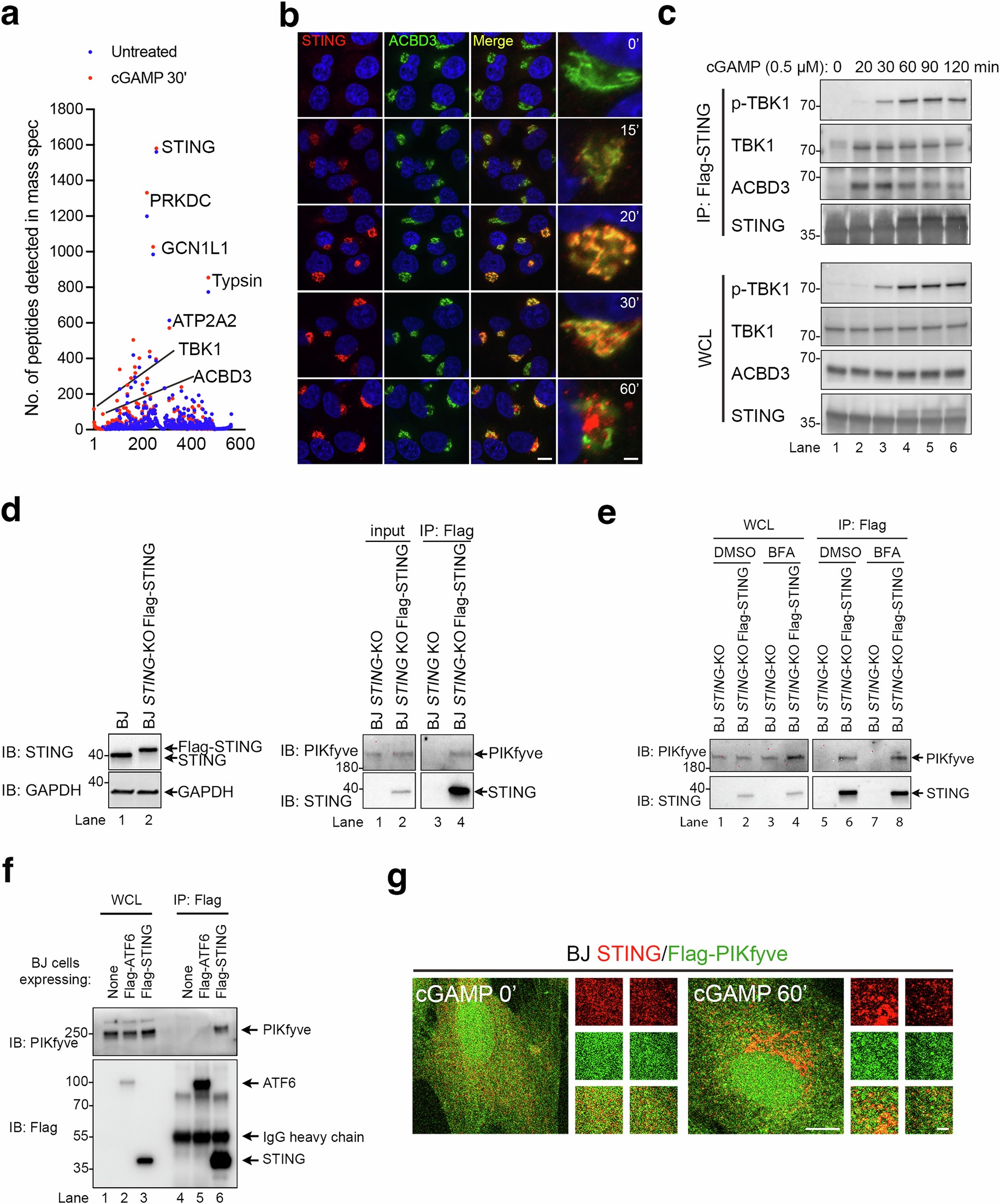Extended Data Fig. 2