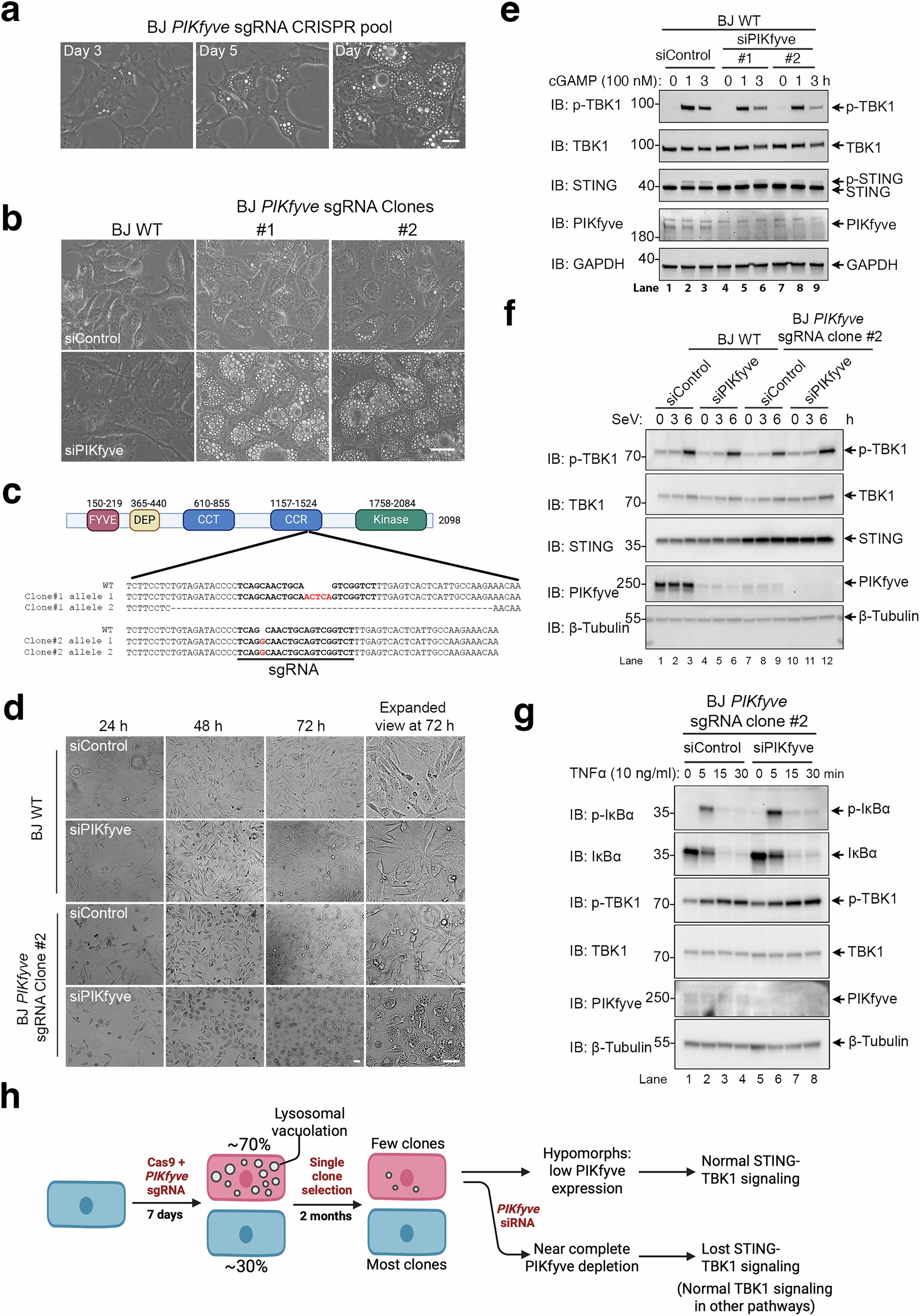 Extended Data Fig. 3