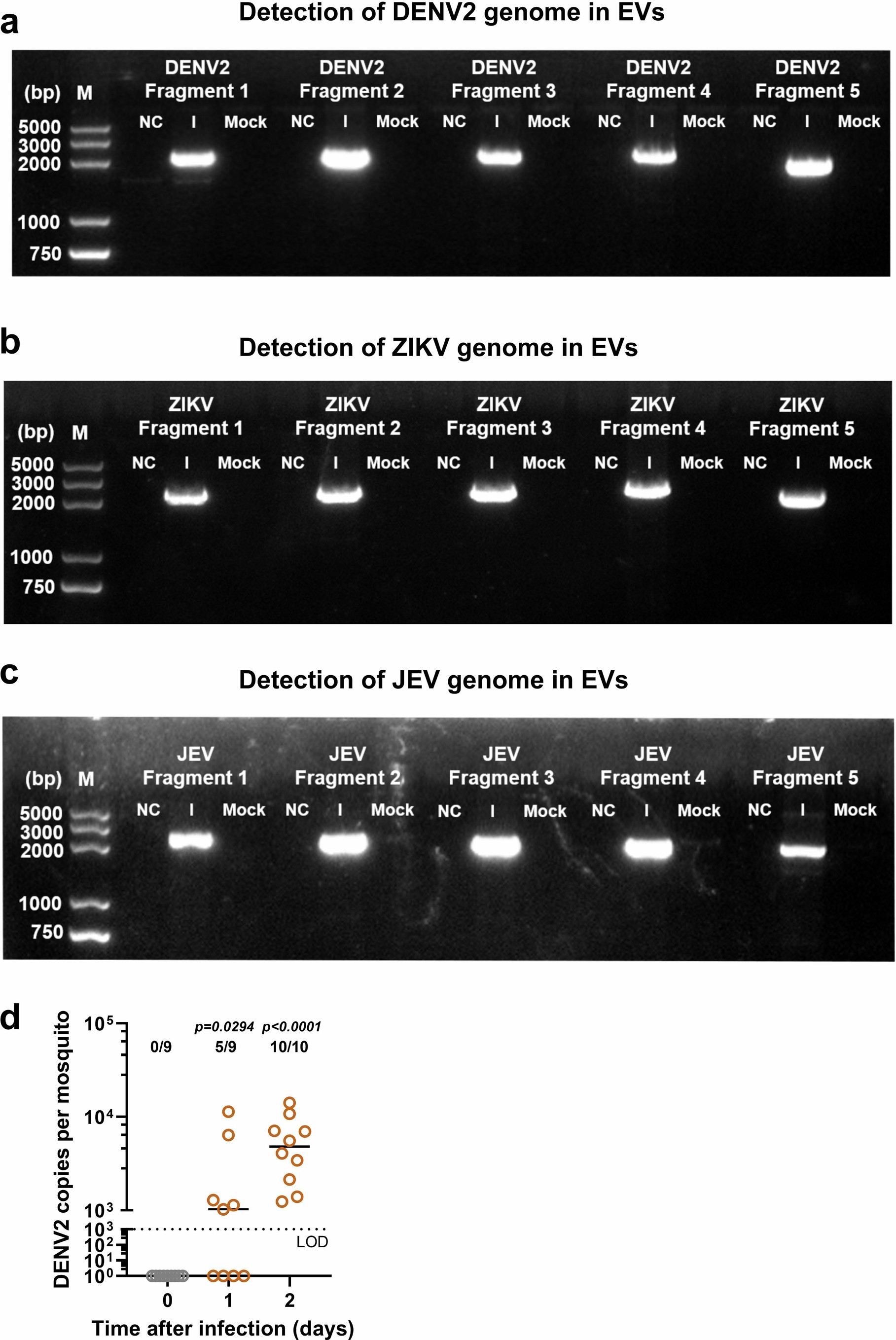 Extended Data Fig. 5