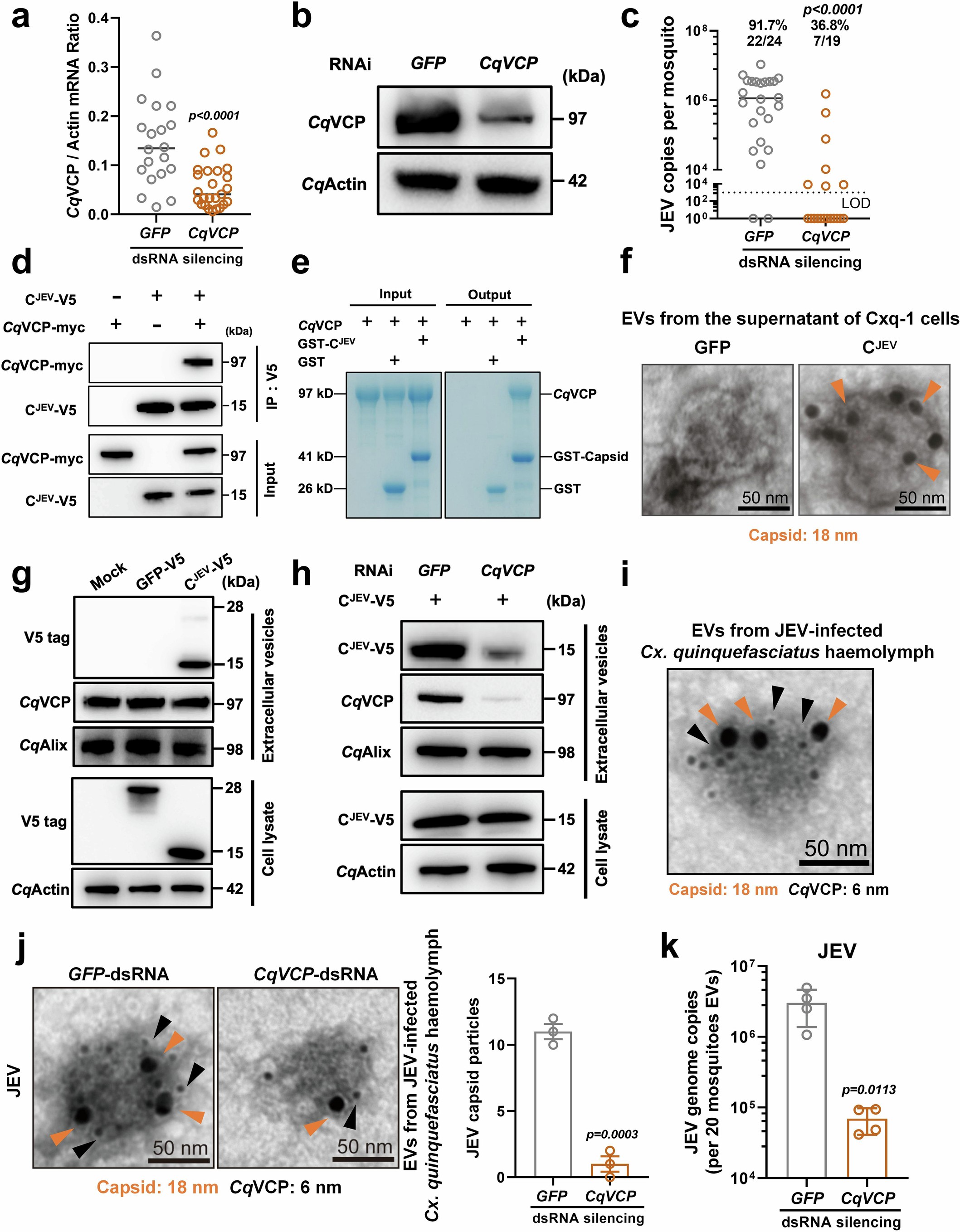 Extended Data Fig. 7