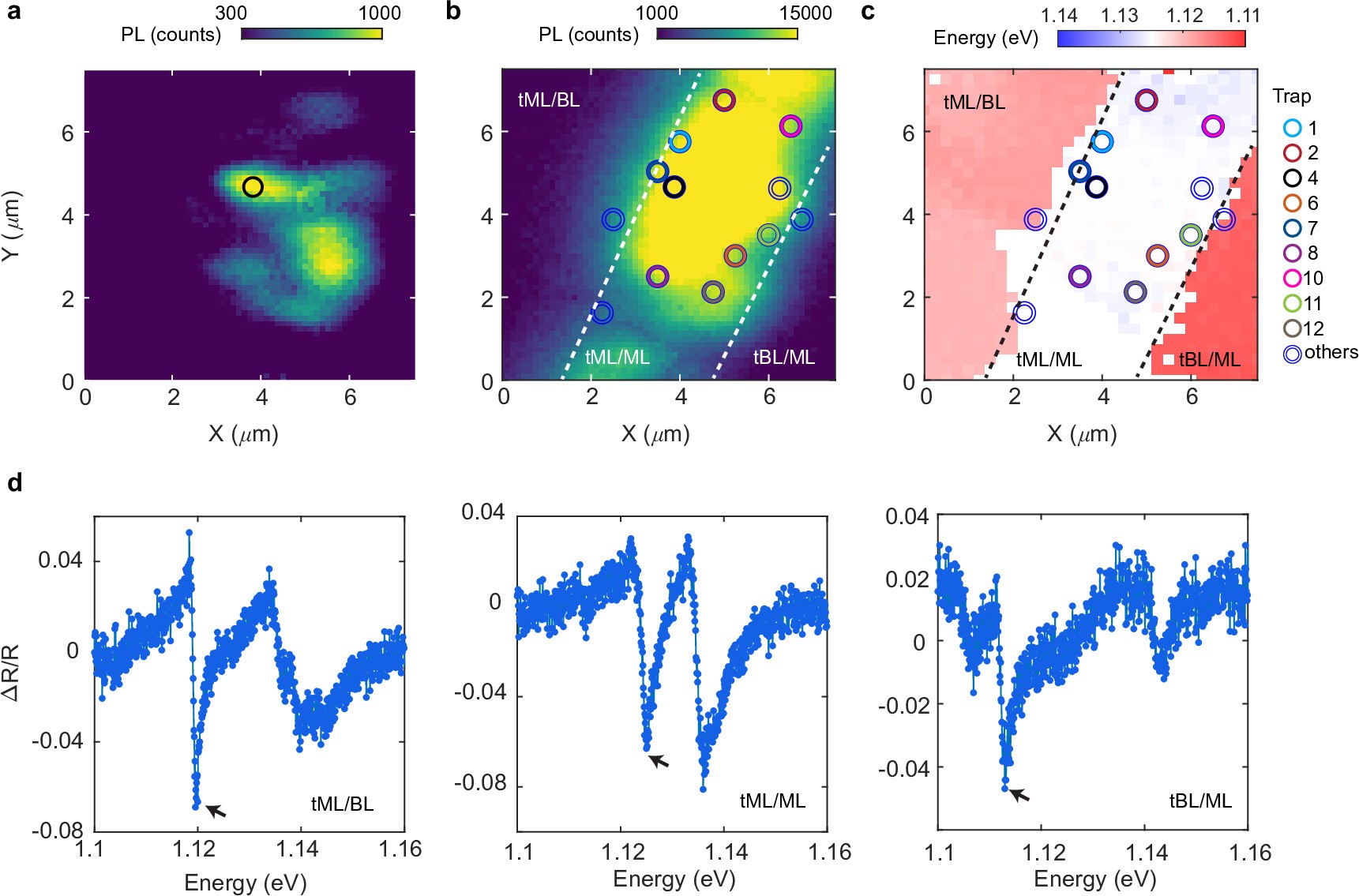 Extended Data Fig. 1