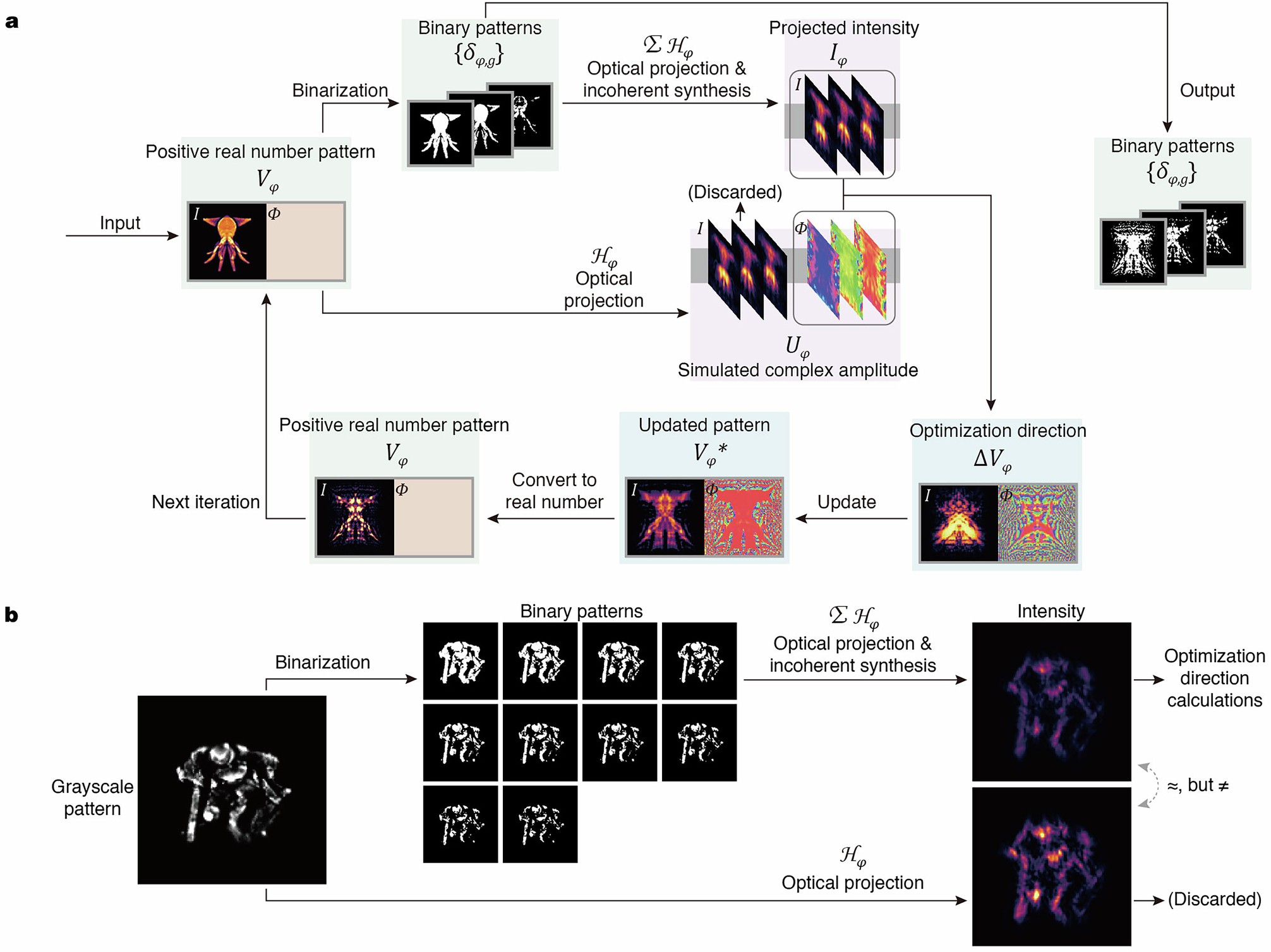 Extended Data Fig. 4: Flow chart of the holographic optimization for the binary patterns of each angle.