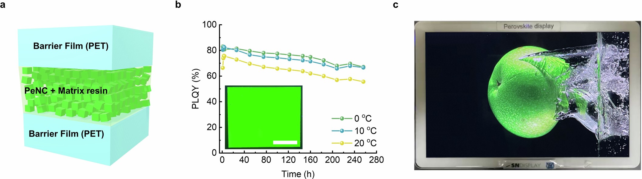Extended Data Fig. 10