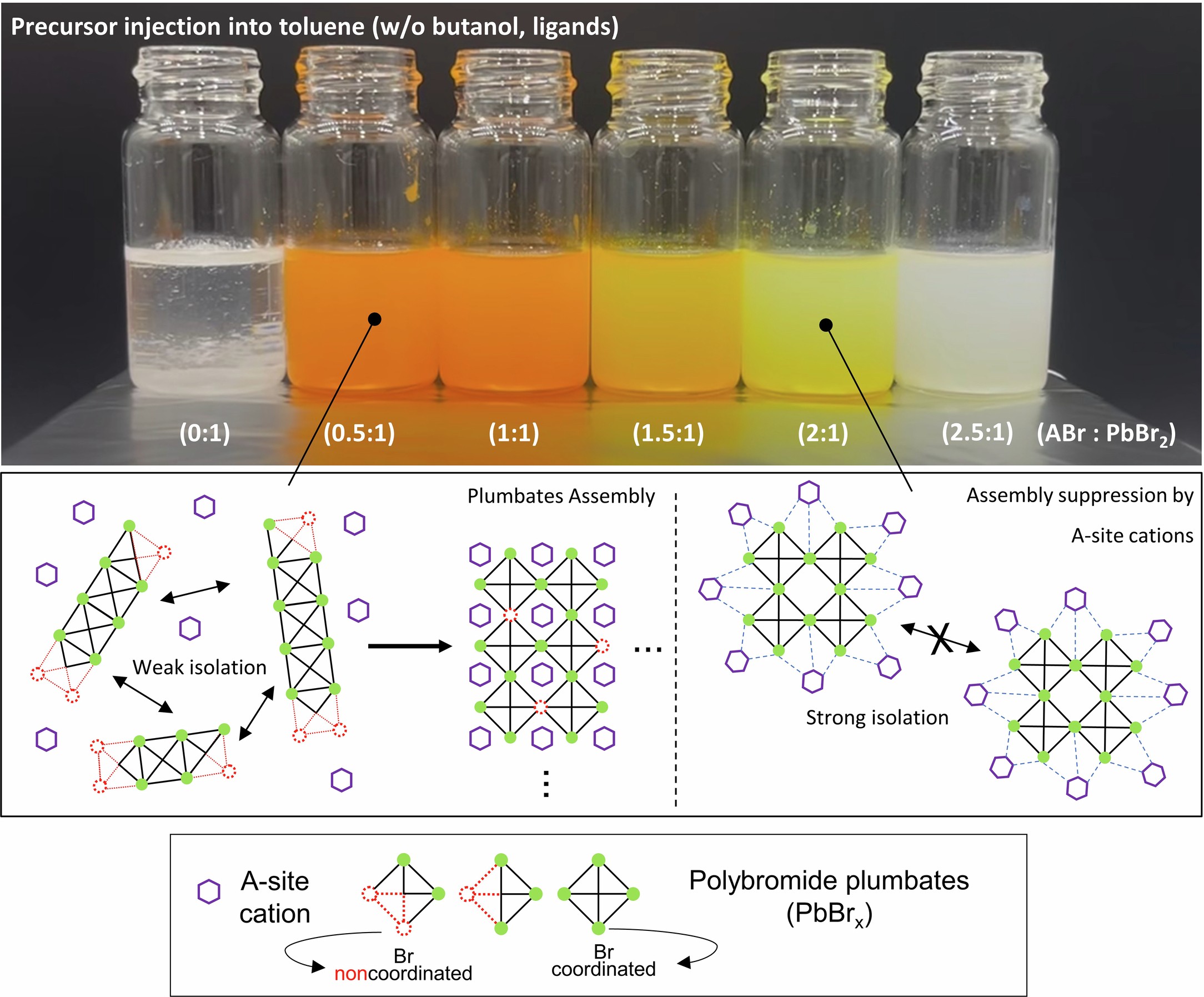 Extended Data Fig. 5