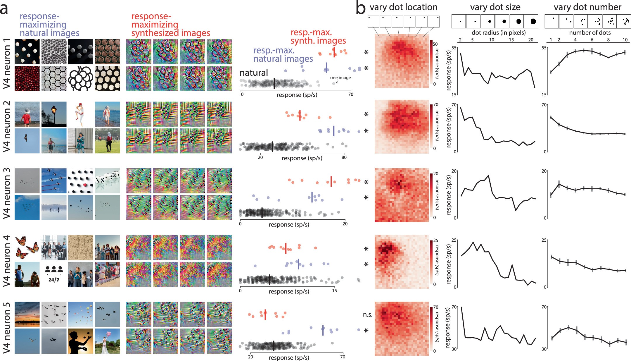 Extended Data Fig. 7: Identifying real V4 dot detectors with experimental validation.