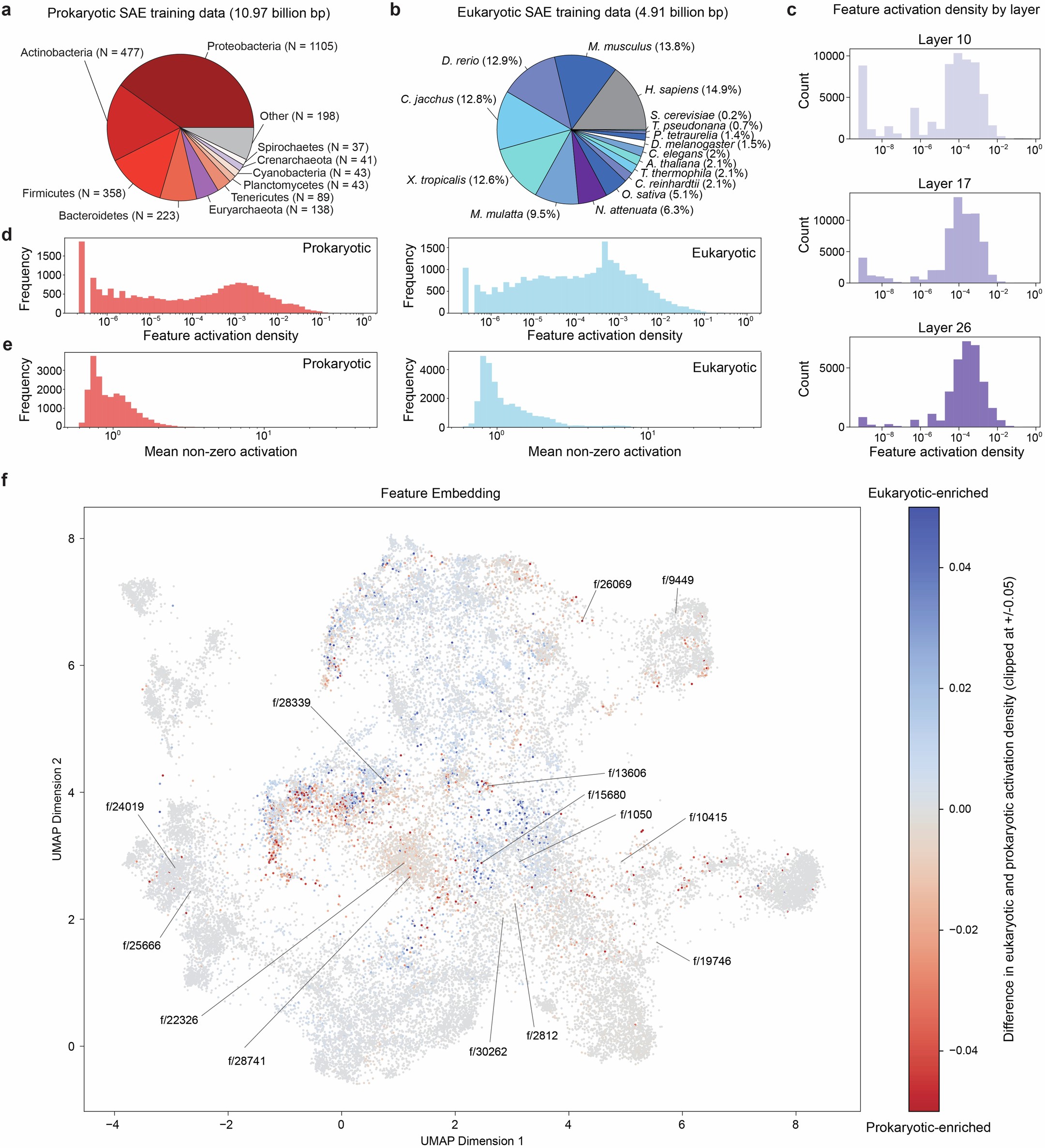 Extended Data Fig. 6: SAE overview with training data, metrics, and feature embedding.