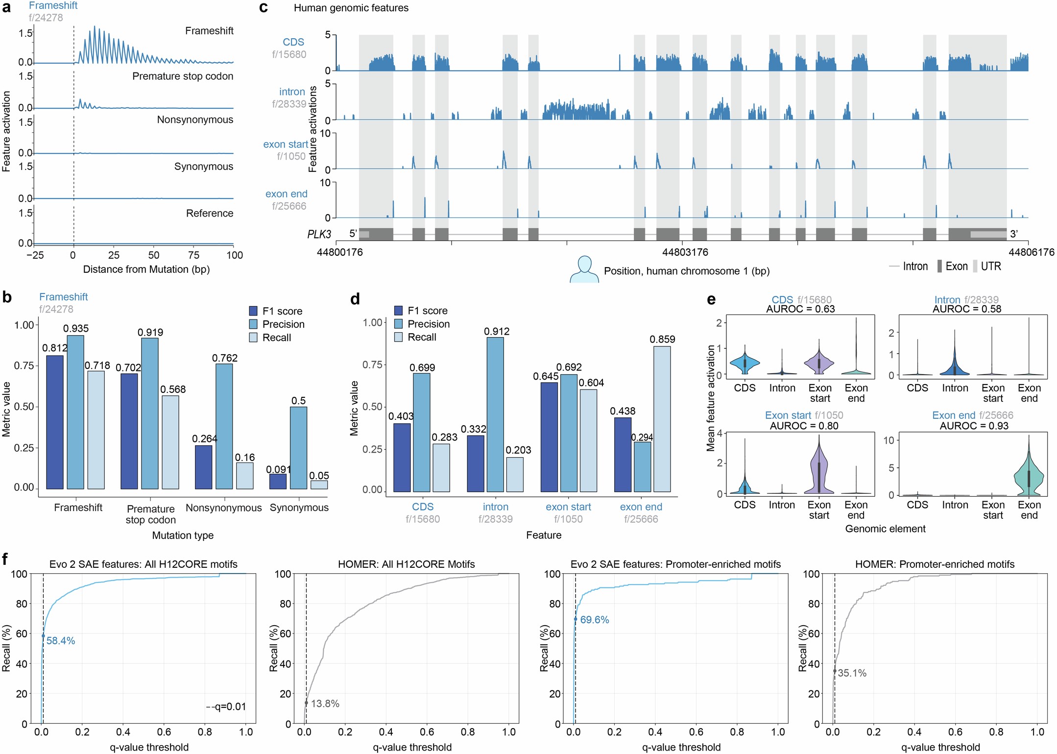 Extended Data Fig. 8: SAE features reveal semantic, structural, and organizational details of eukaryotic genomes.