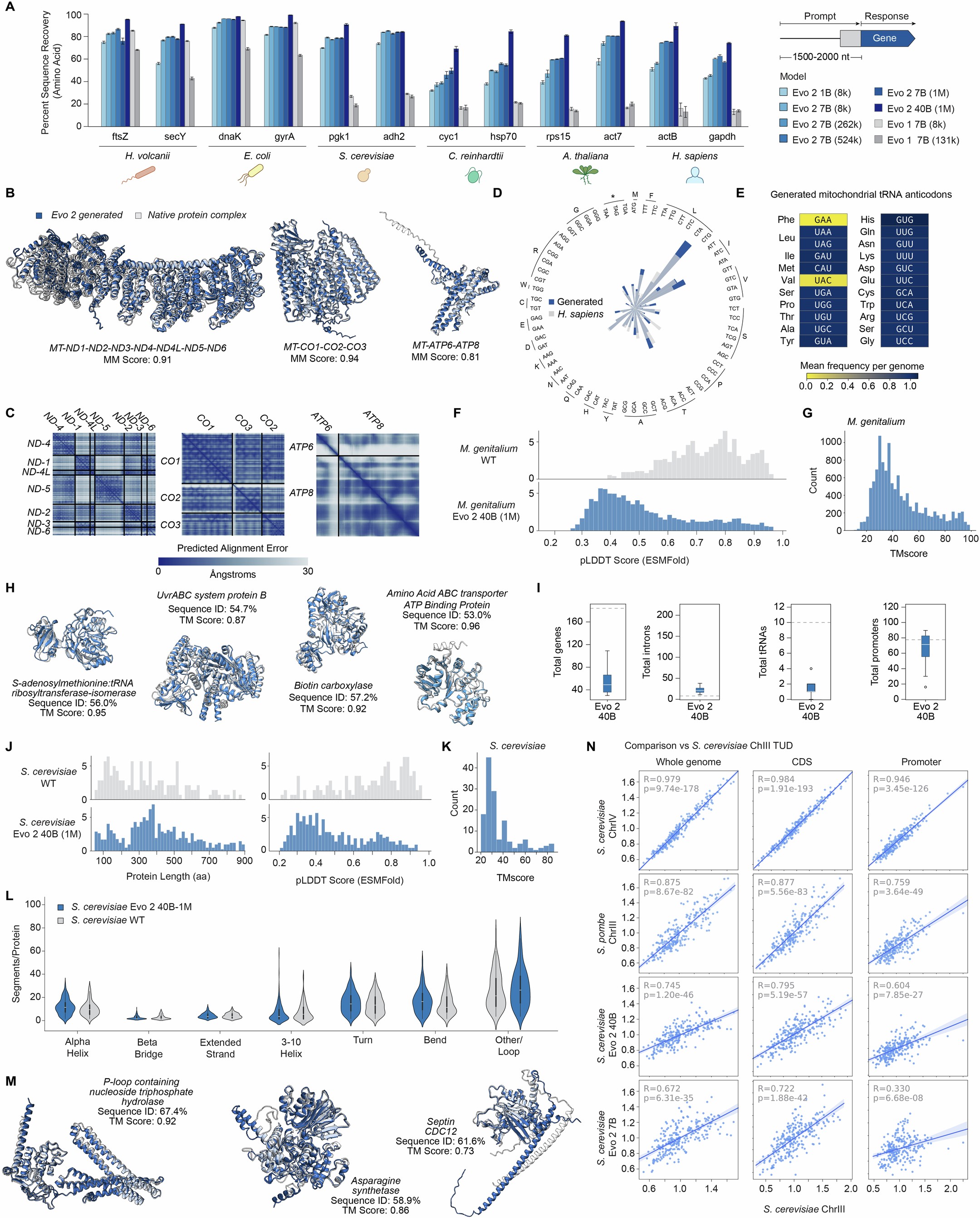Extended Data Fig. 9: Additional results for unconstrained generation at genome and chromosome scale.