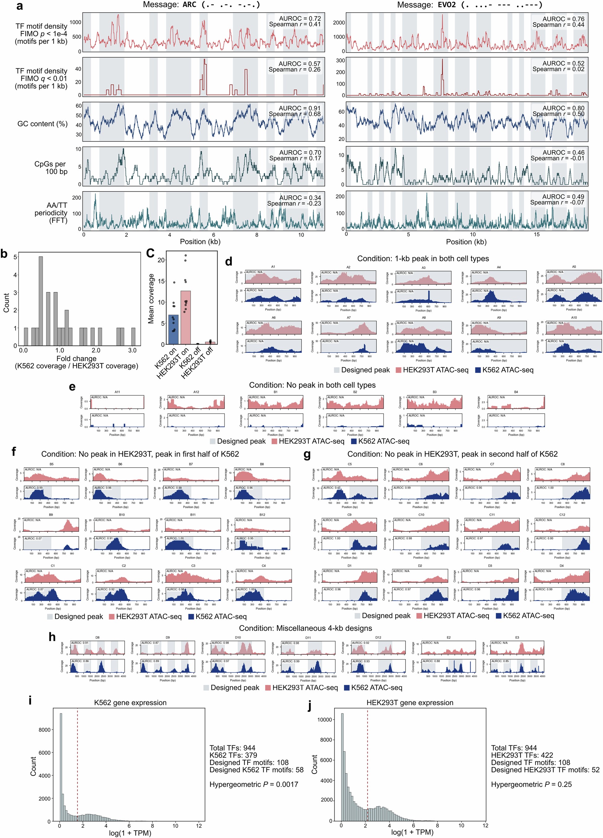 Extended Data Fig. 11: Additional data for generative chromatin accessibility and cell-type specificity.