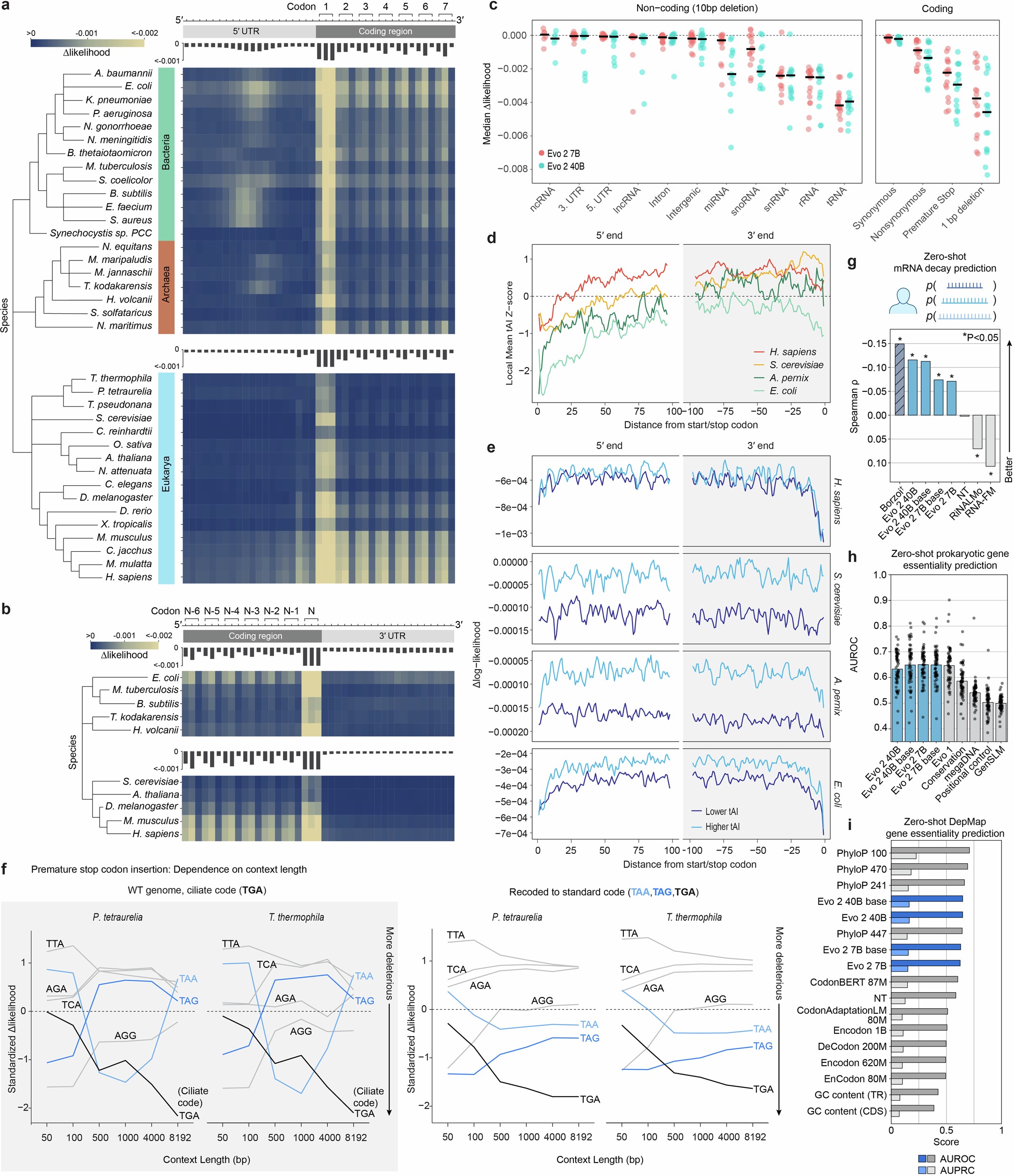 Extended Data Fig. 3: Evo 2 understands mutational effects on protein, RNA, and organismal fitness across all domains of life.