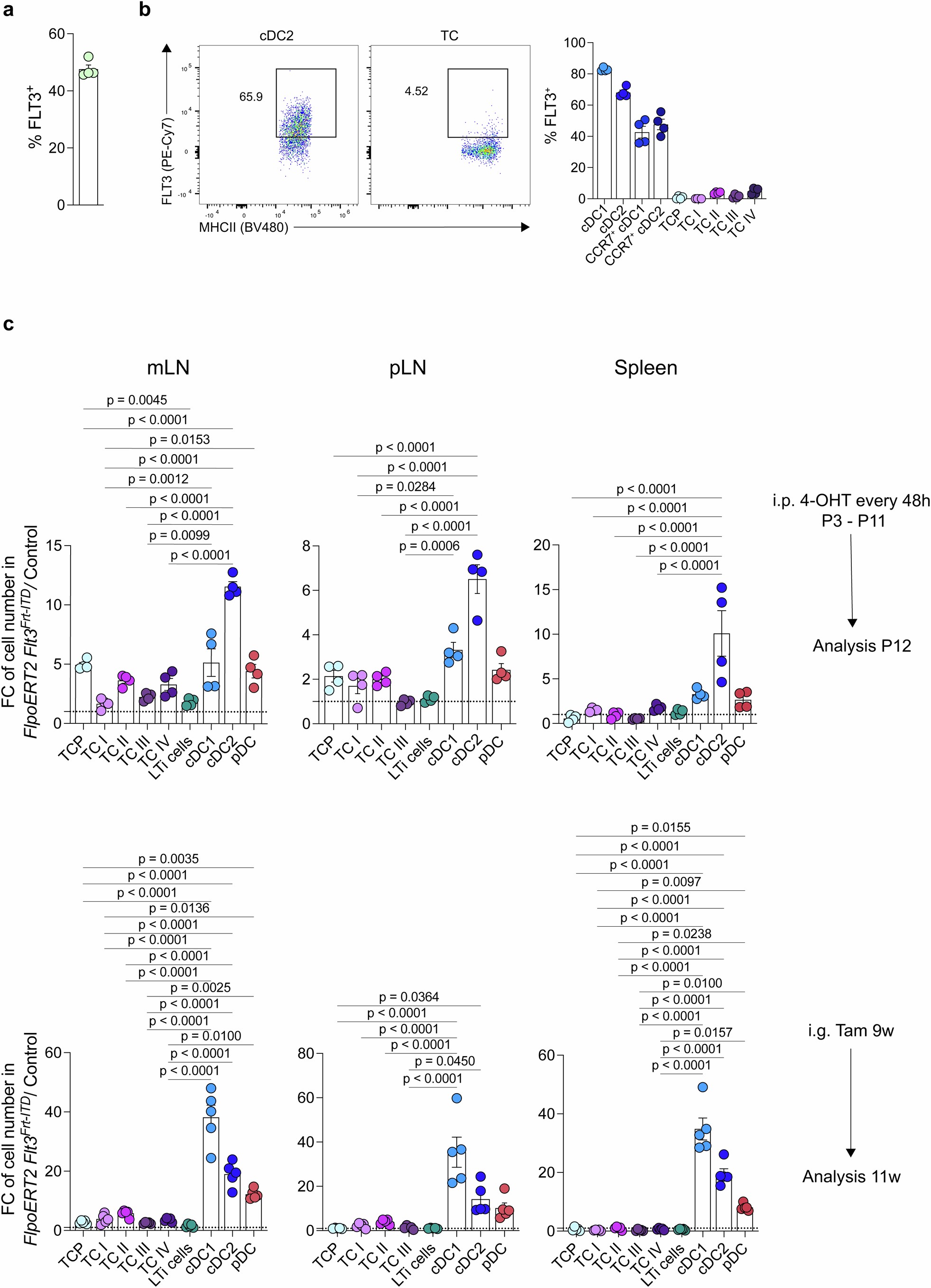 Extended Data Fig. 6: FLT3 regulation of TC differentiation.