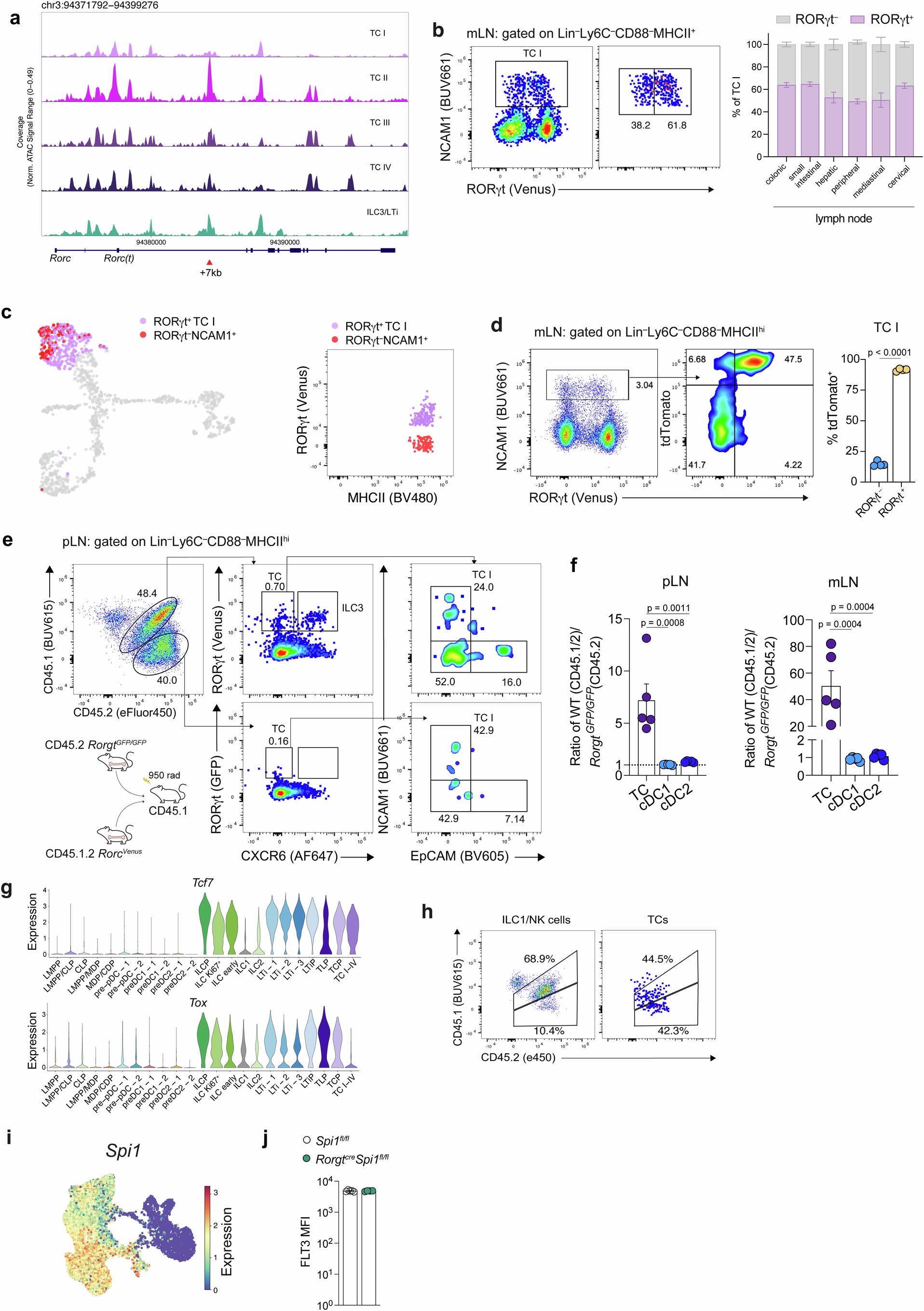 Extended Data Fig. 7: Transcriptional regulation of TCP differentiation.