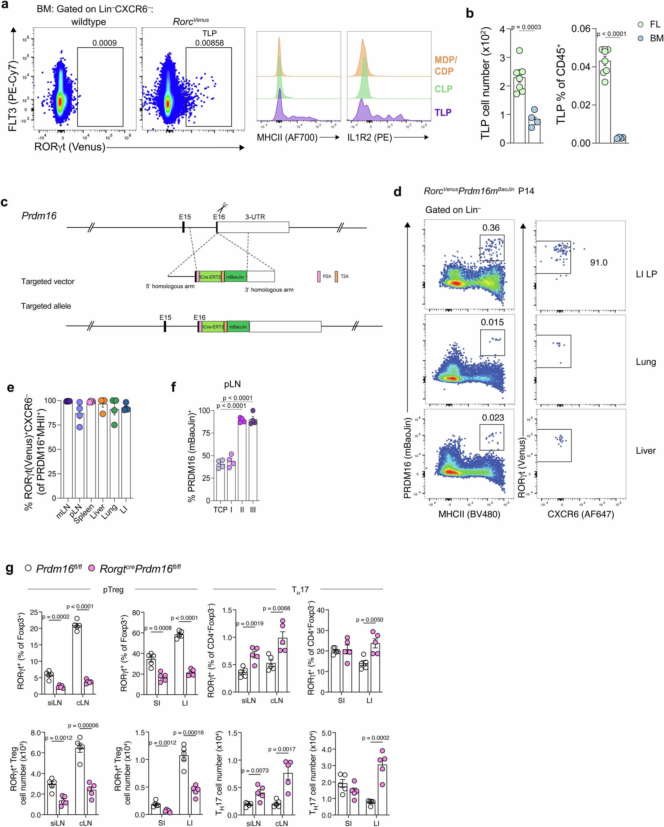 Extended Data Fig. 8: Postnatal regulation of TC differentiation.