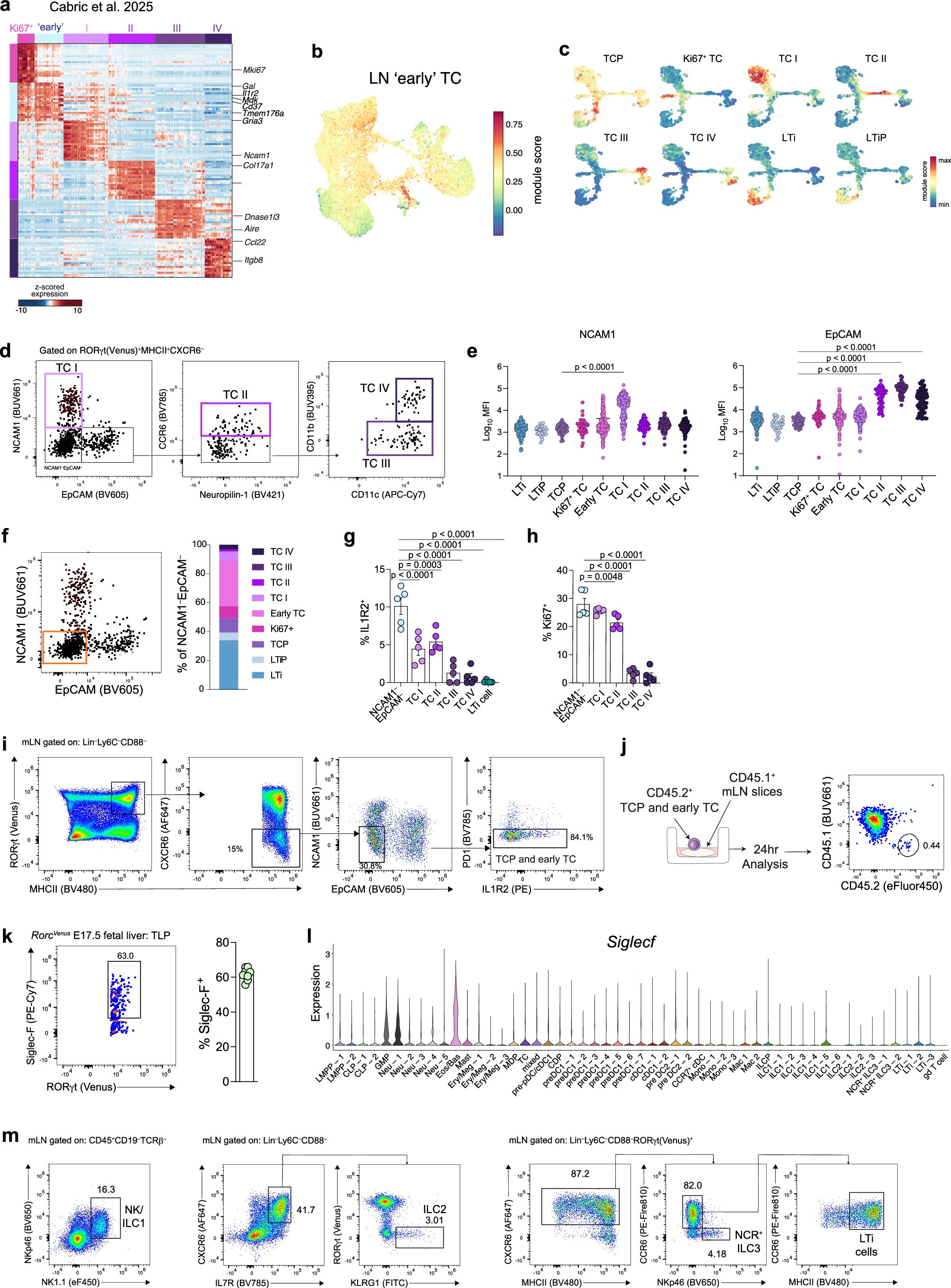 Extended Data Fig. 4: TCP represents the immediate TC progenitor.