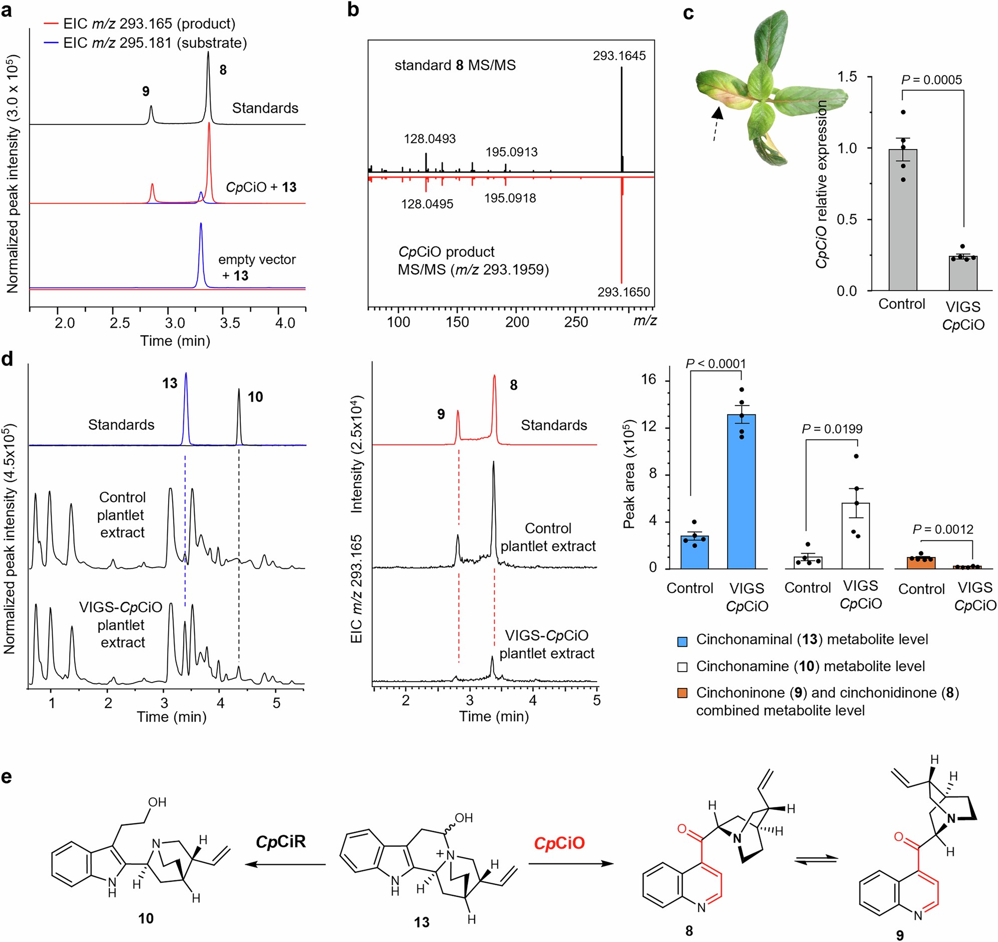 Extended Data Fig. 3: Functional characterization of cinchonamine oxidase (CpCiO).