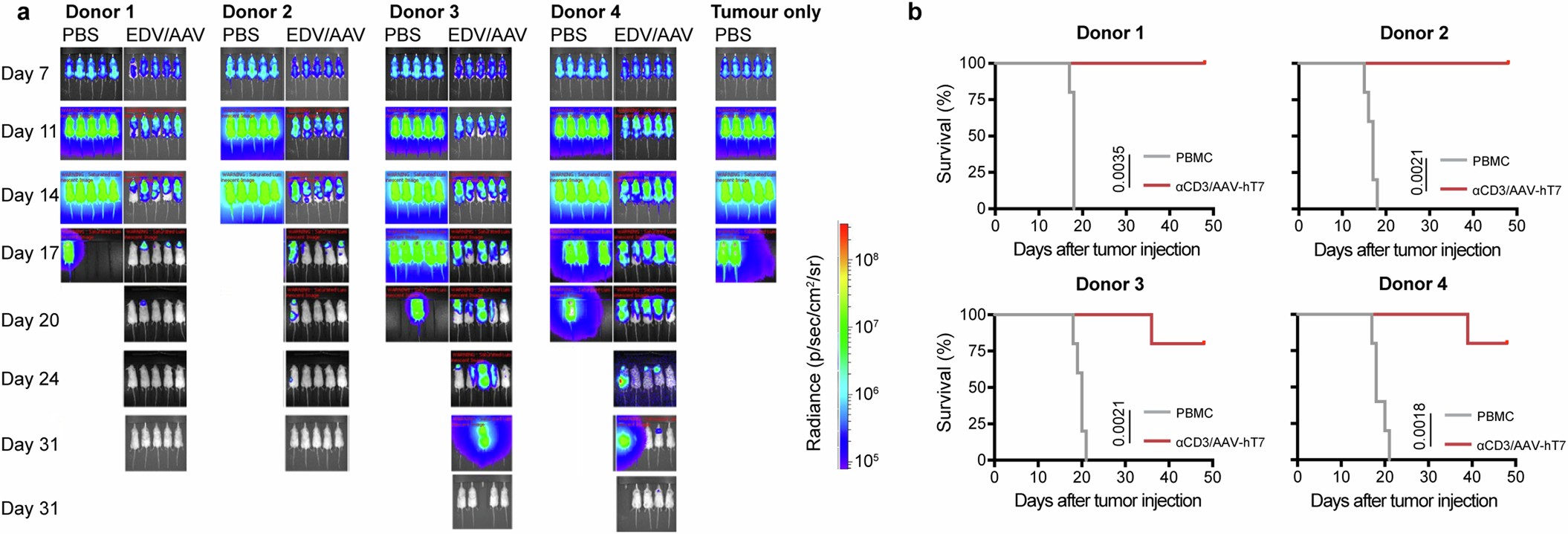 Extended Data Fig. 7: Related to main Fig. 4.