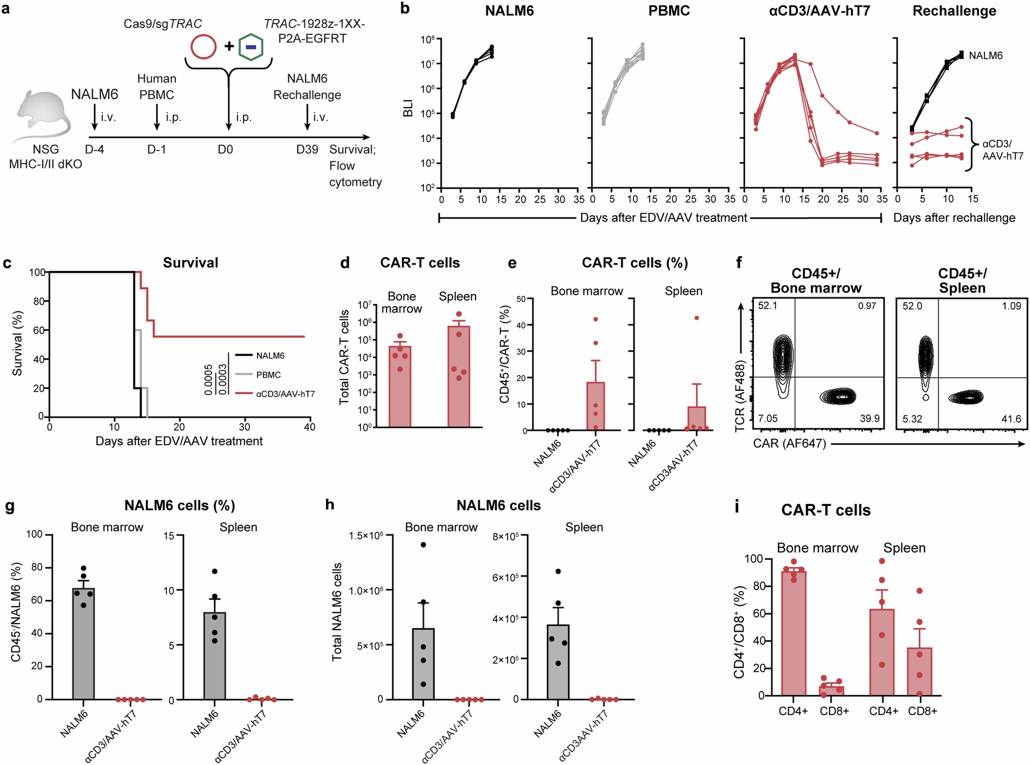 Extended Data Fig. 8: Related to main Fig. 4.