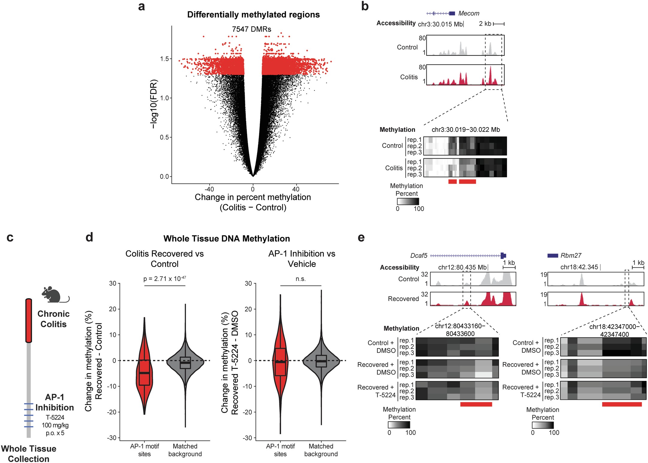 Extended Data Fig. 6: Methylation changes in epigenetic memory of colitis.