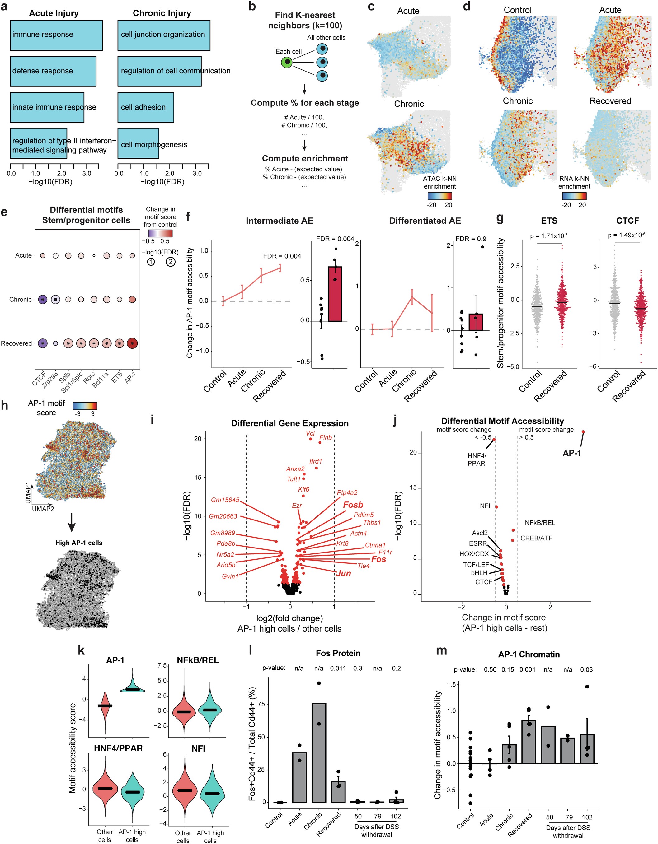 Extended Data Fig. 3: Cellular memory following chronic colitis.