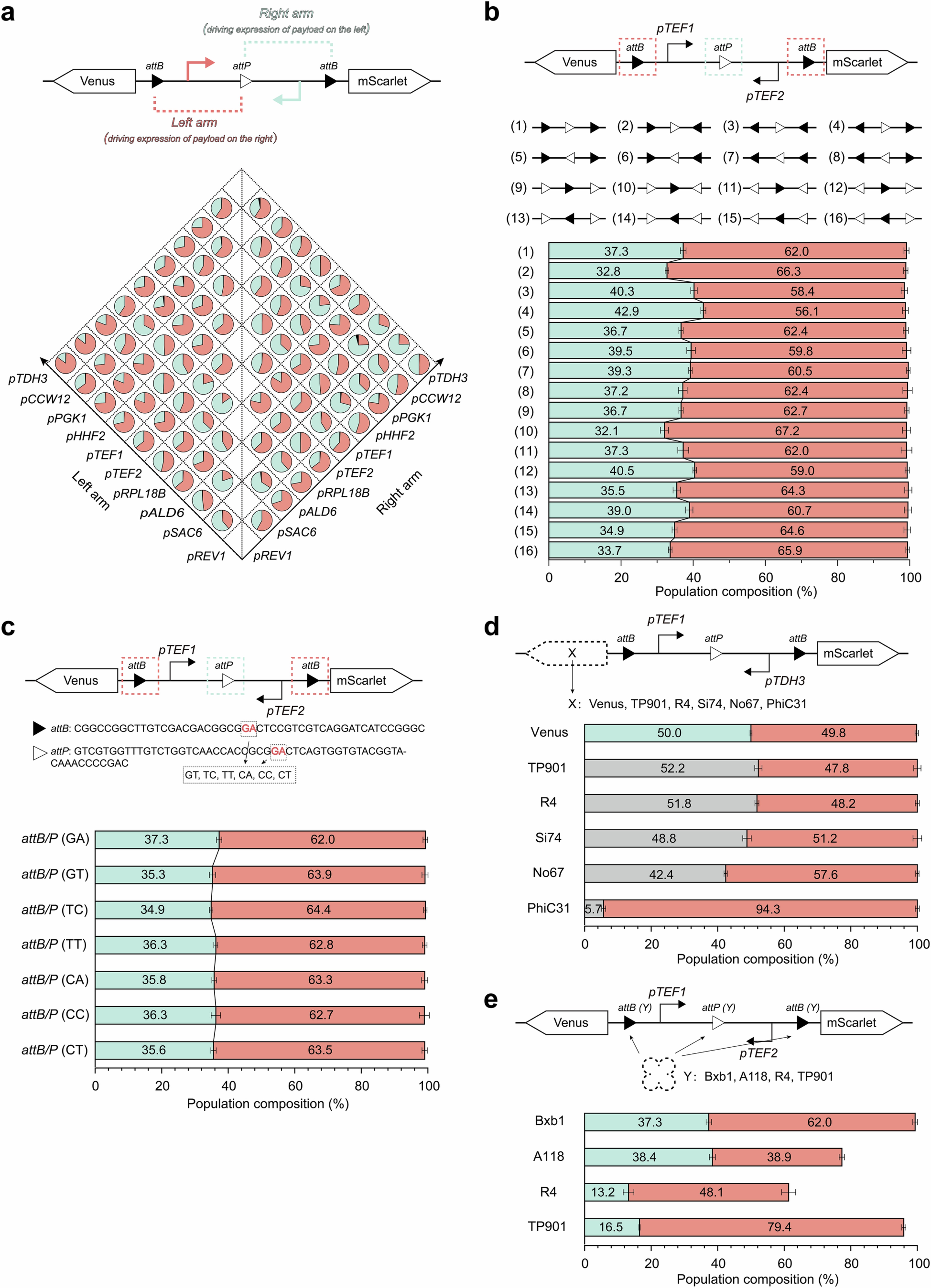 Extended Data Fig. 3: Determinants of branching circuit performance.