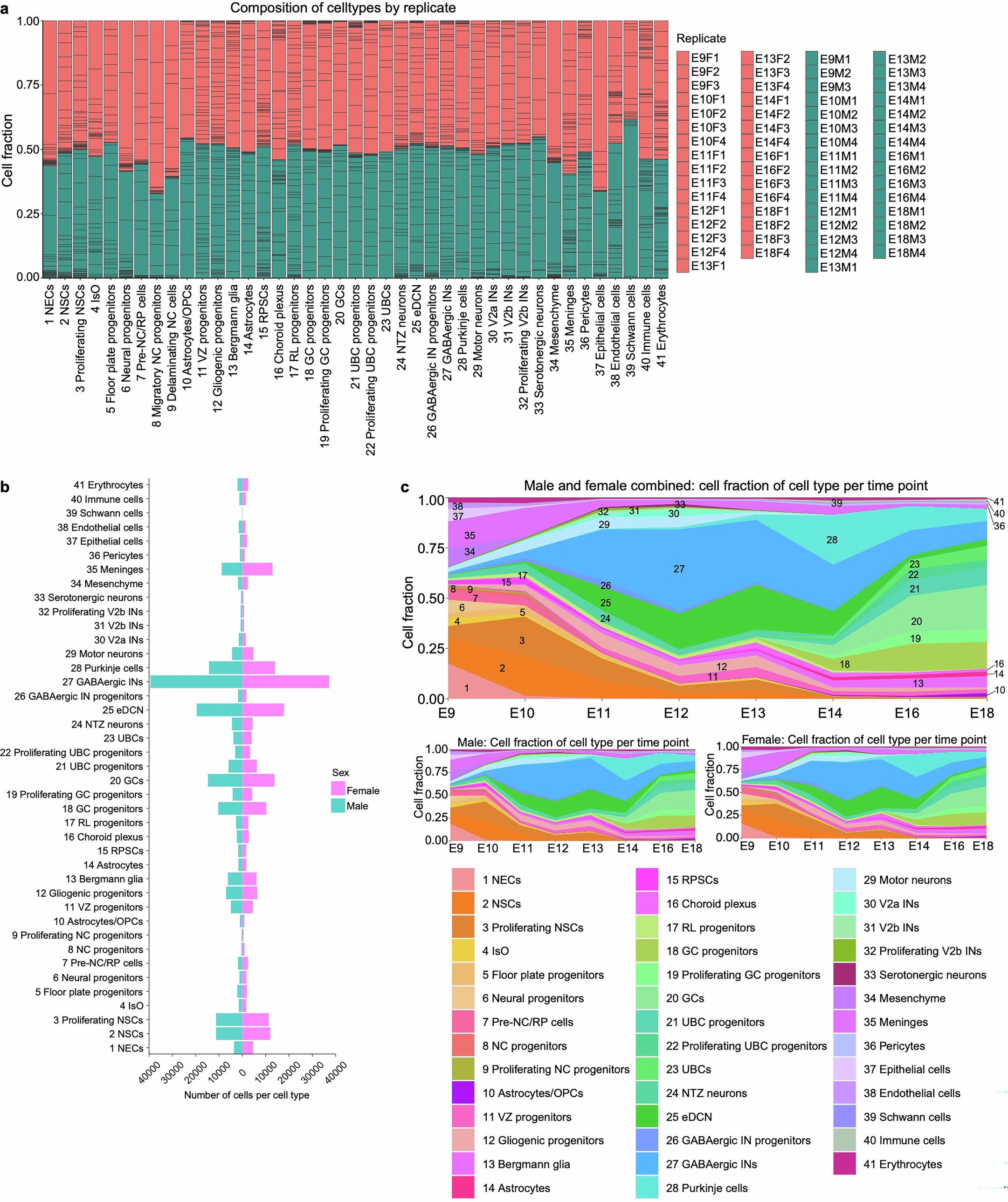Extended Data Fig. 5: Number and proportion of cell types by sex in the sex-balanced developmental transcriptional atlas of the embryonic mouse hindbrain.