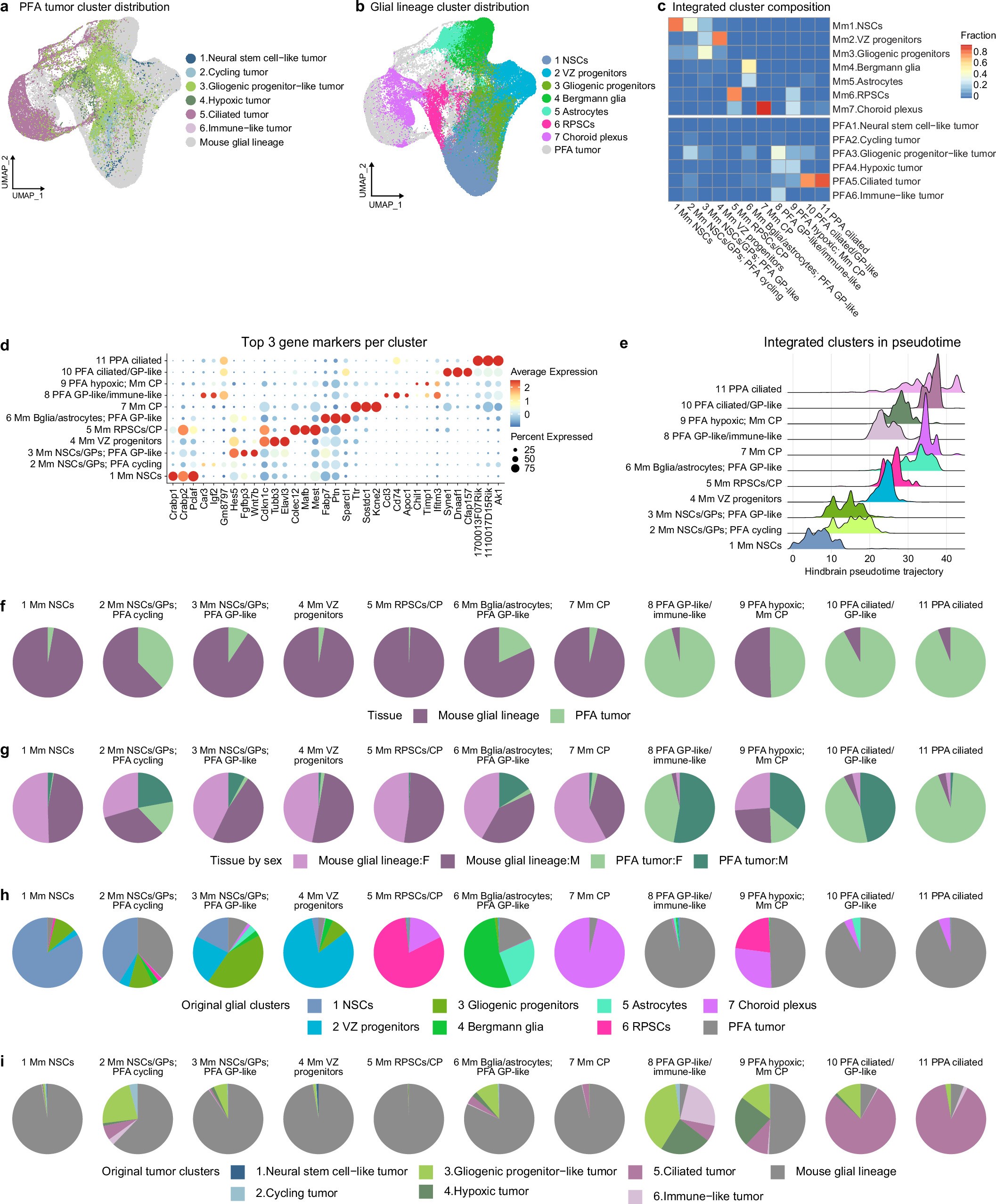 Extended Data Fig. 7: Unsupervised integration of PFA tumour cells and the mouse glial lineage.