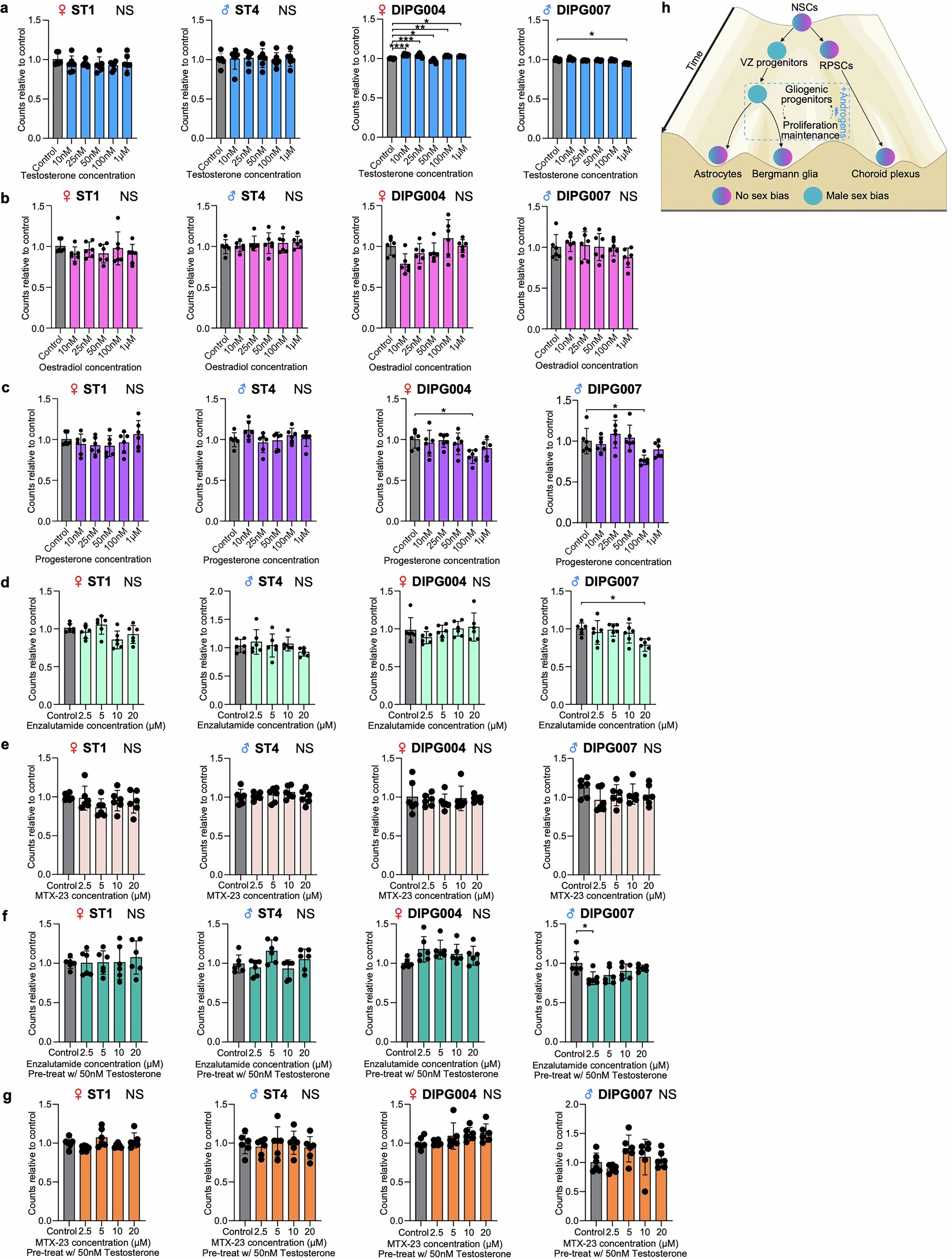 Extended Data Fig. 11: Androgens have minimal effects on cell growth in vitro in ST-EPN and DIPG compared with PFA-EPN.