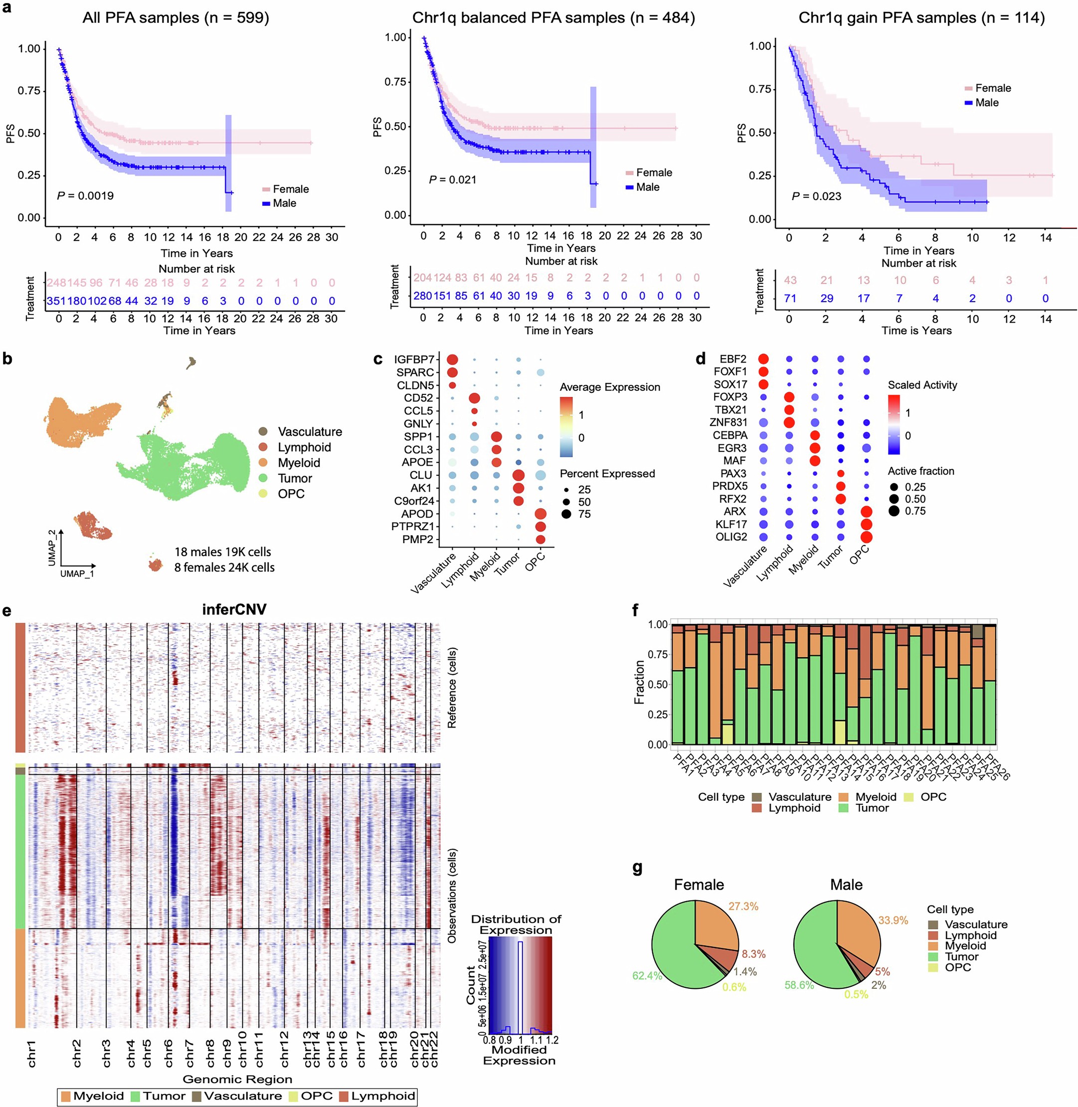 Extended Data Fig. 1: Sex differences in prognosis and cell populations in PFA-EPN.