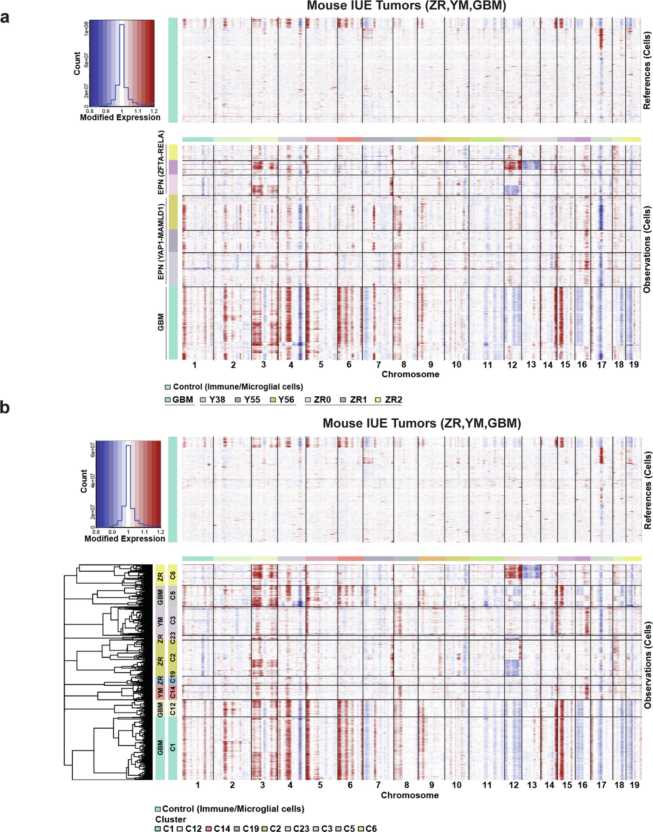 Extended Data Fig. 3: Copy number variation and correlation between ZR signal and Plagl1 motif activity in IUE tumors.