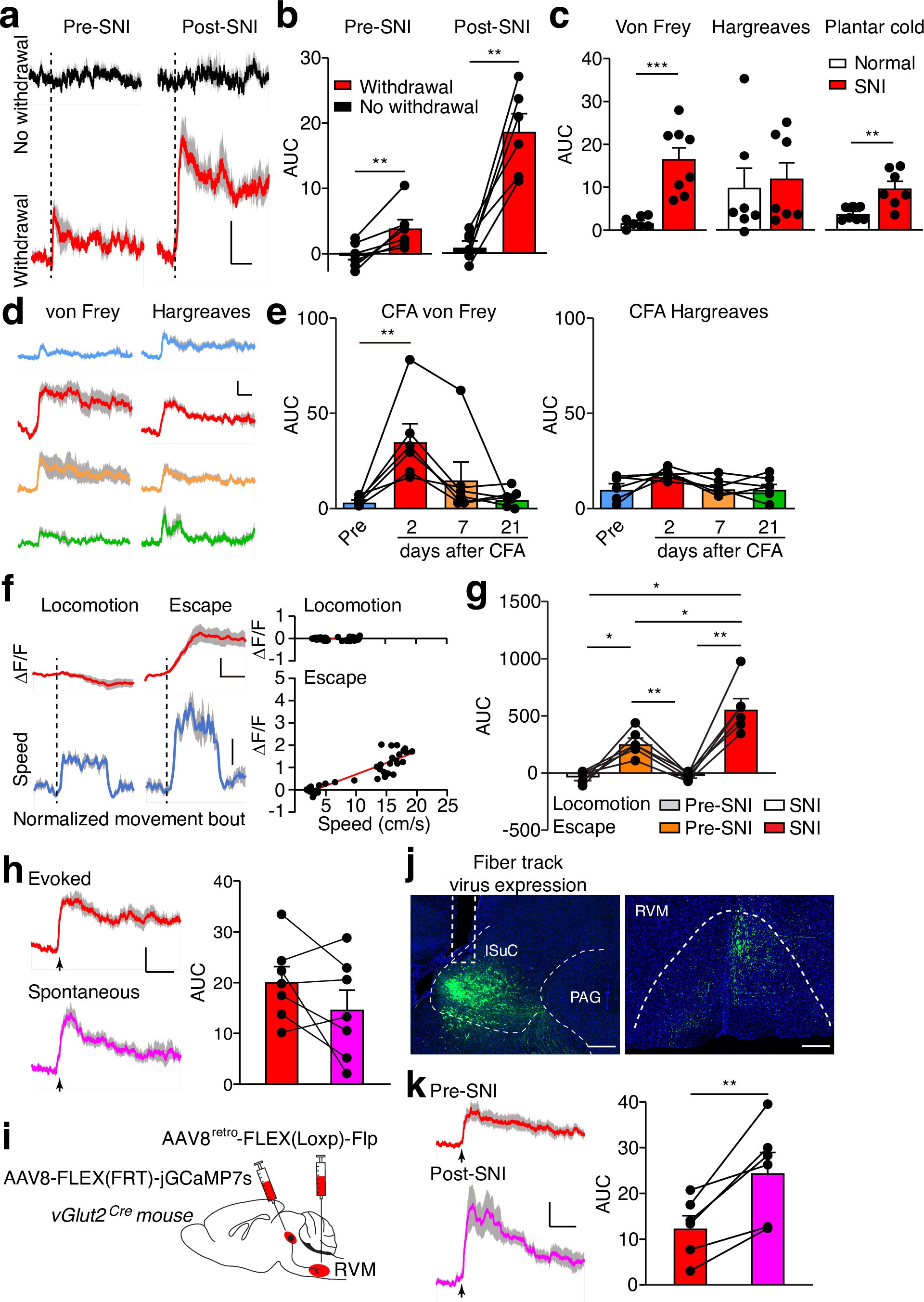 Extended Data Fig. 4: Fibre photometry recording.
