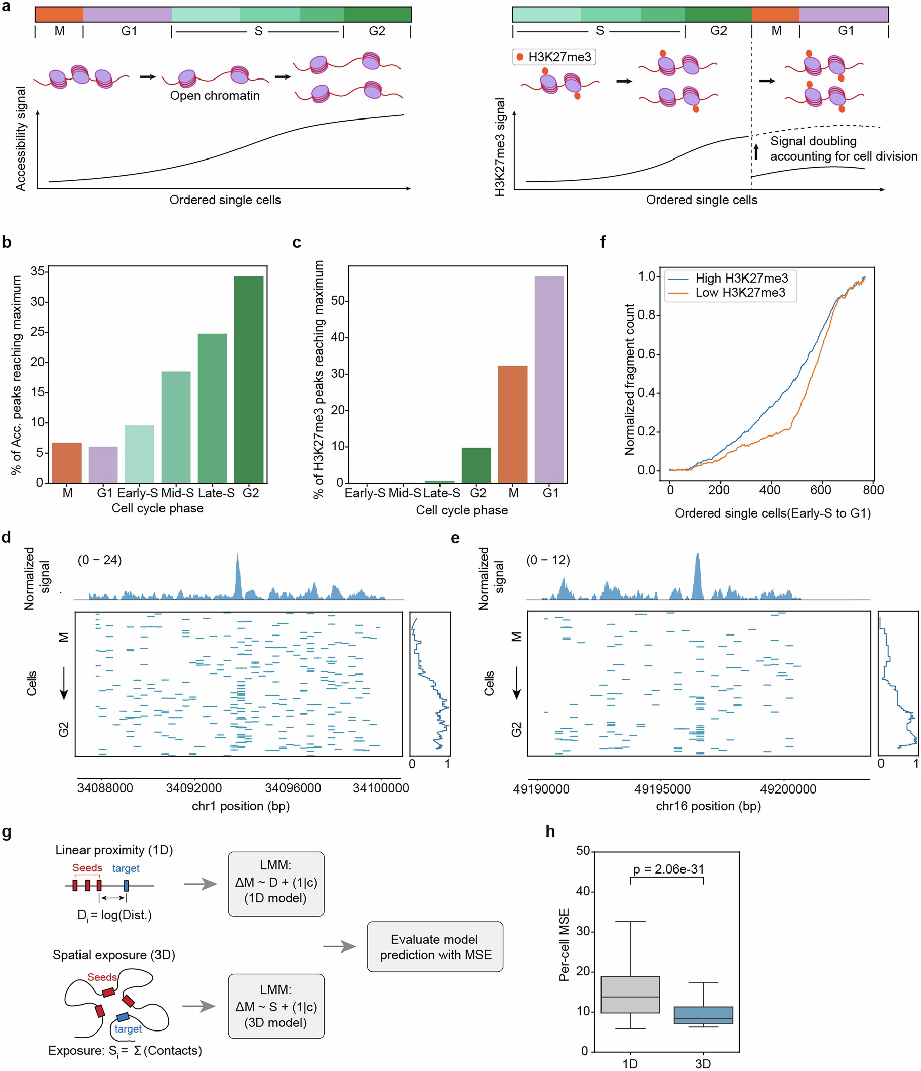 Extended Data Fig. 3: Distinct restoration kinetics of chromatin accessibility and H3K27me3 across the cell cycle.
