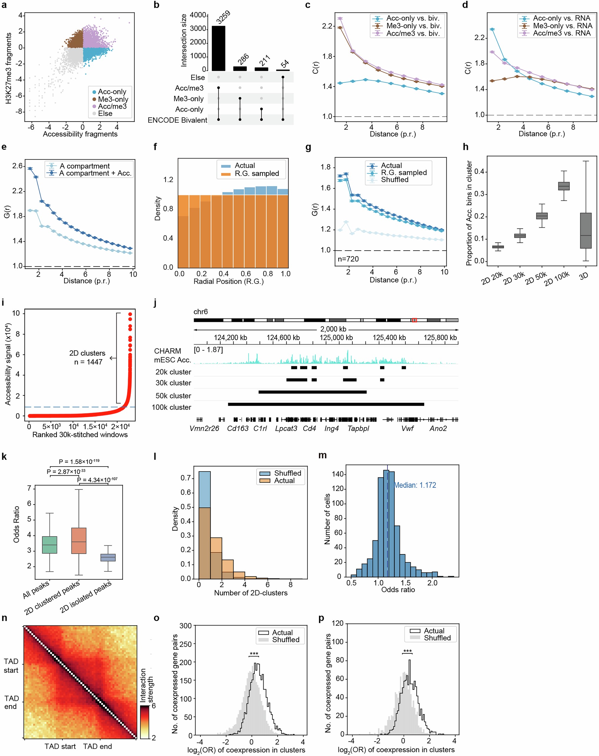Extended Data Fig. 4: Spatial localization of active and repressive chromatin in 3D nuclear space.
