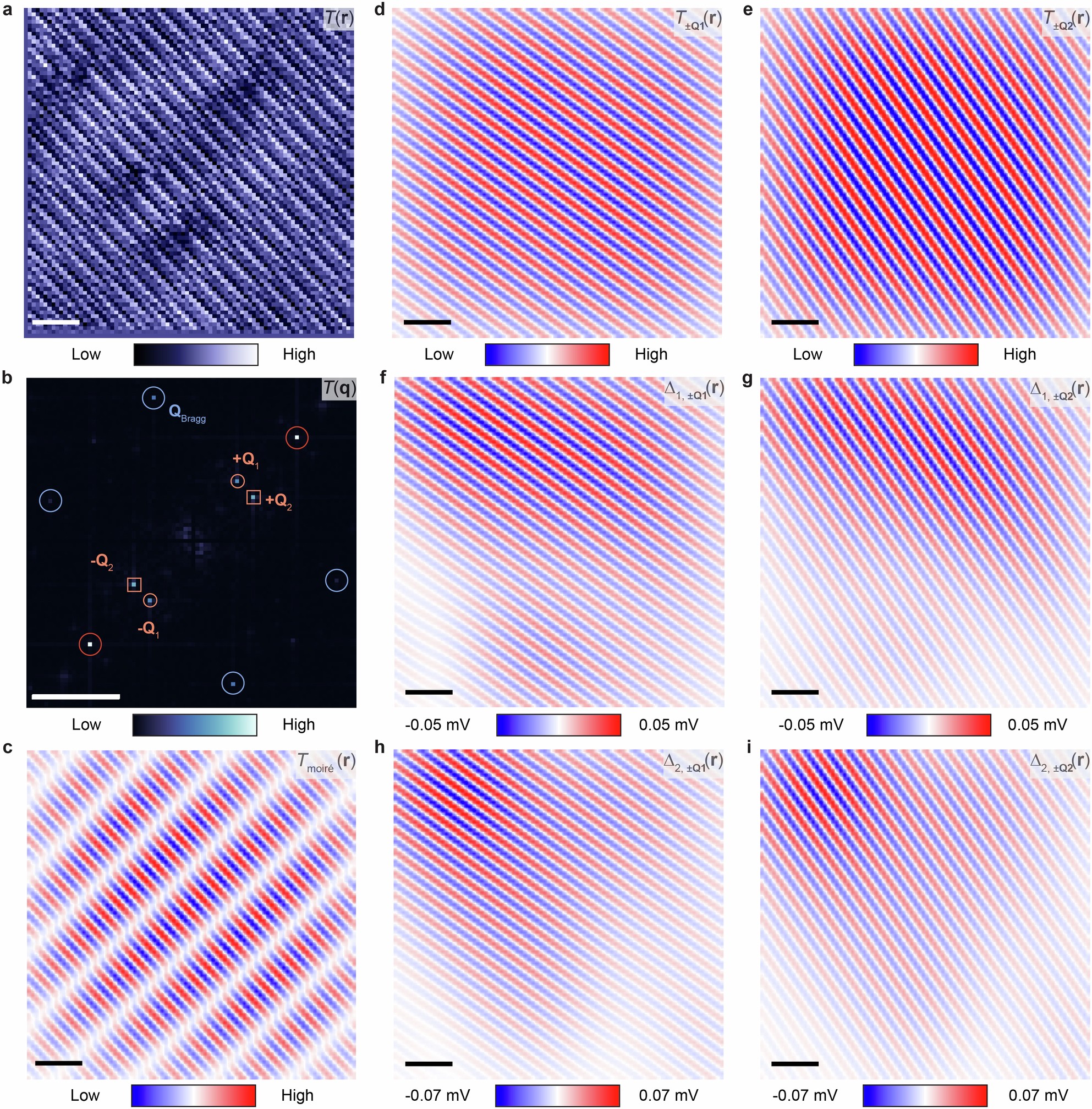Extended Data Fig. 4: FT-filtered images of the moiré superlattice, Δ1, and Δ2 in 1 QL Sb2Te3/6 UC FeTe bilayers.