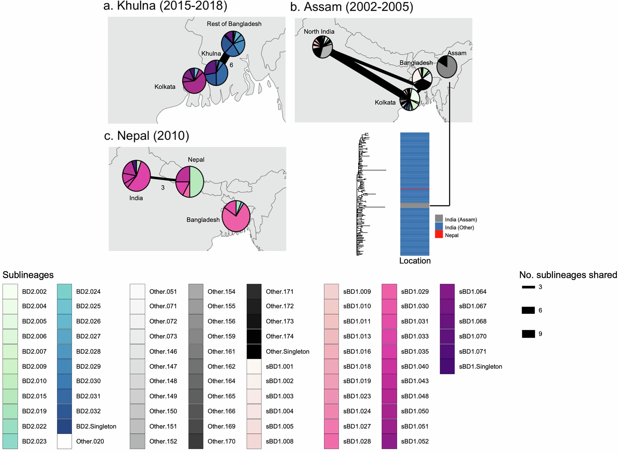 Extended Data Fig. 7: Sharing of sub-lineages between different locations within the Ganges basin.