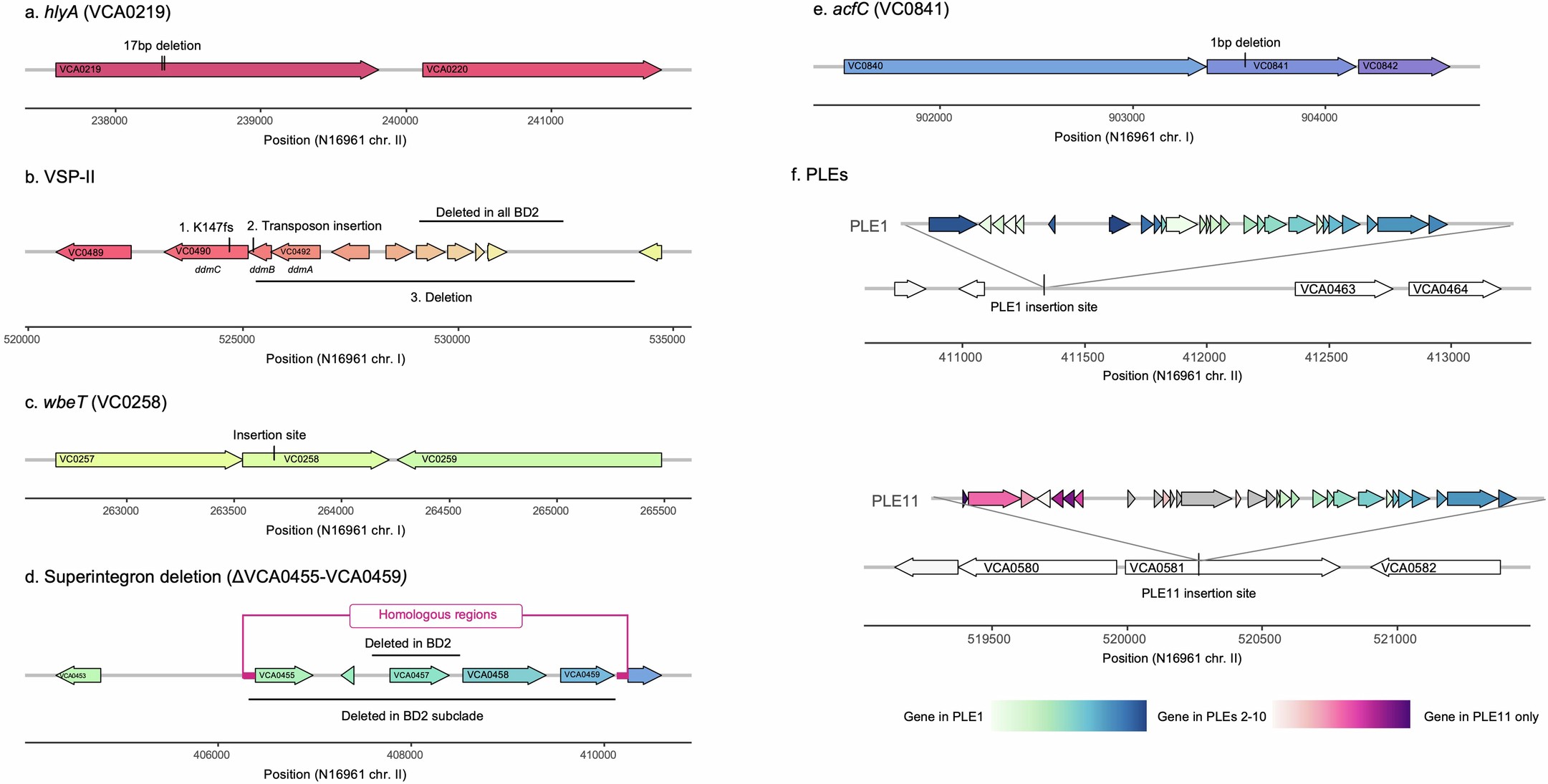 Extended Data Fig. 4: Genomic context of each of the major genetic changes undergone by sBD1 and BD2 in Bangladesh.