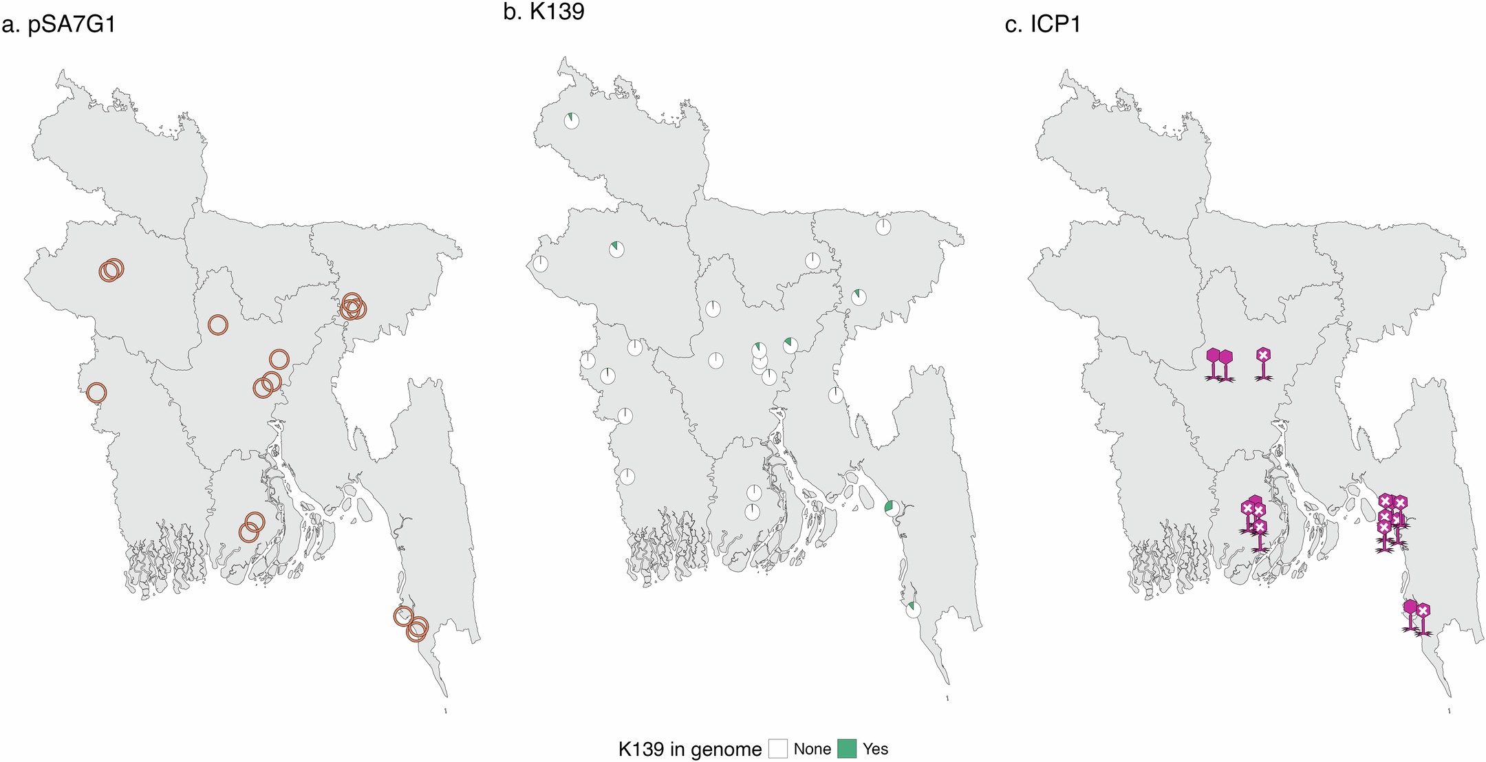 Extended Data Fig. 5: Geographic distribution of mobile genetic elements which did not become fixed in the population.