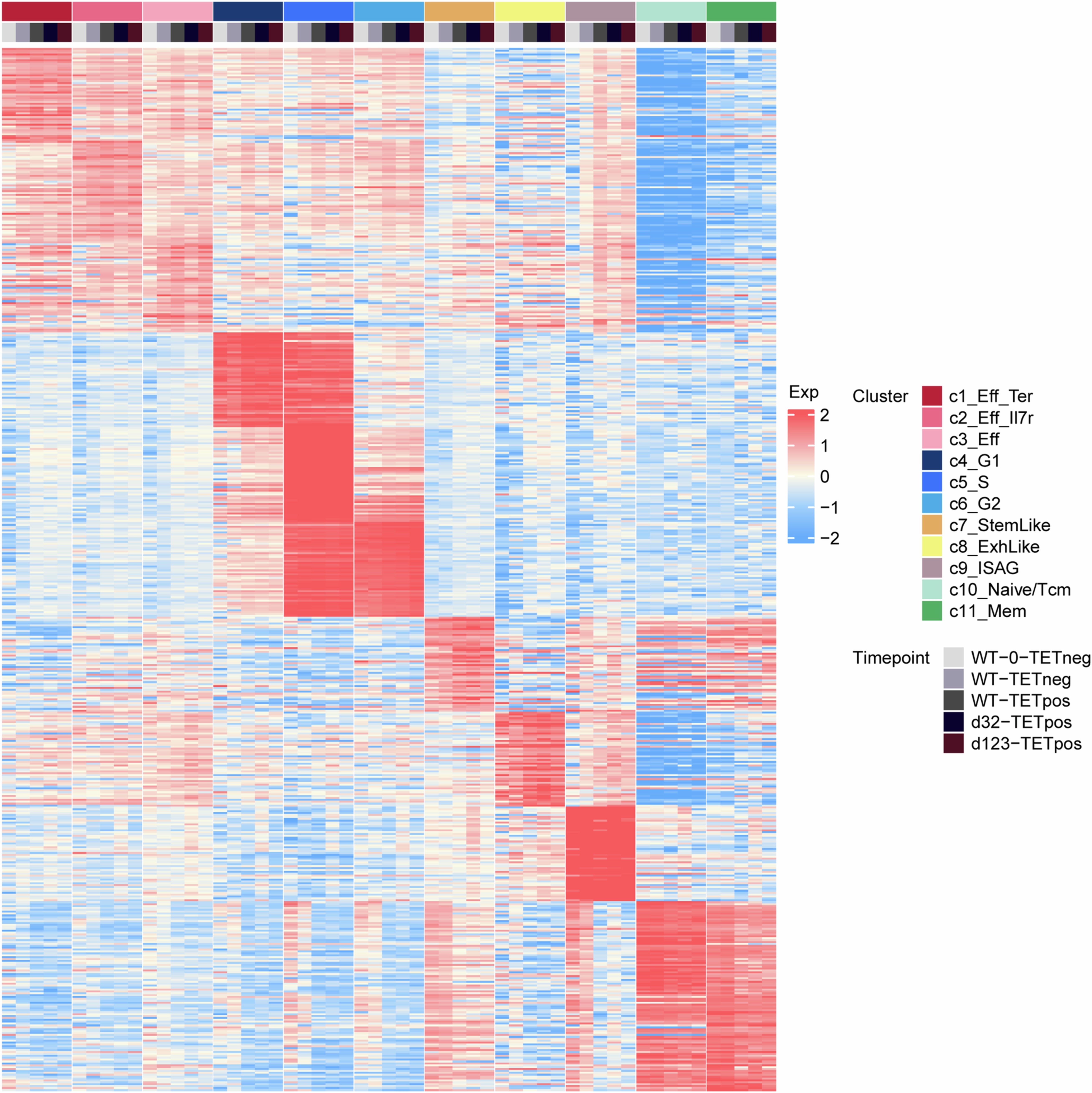 Extended Data Fig. 10: Identification of clusters in single cell analysis of CD8 T cells.