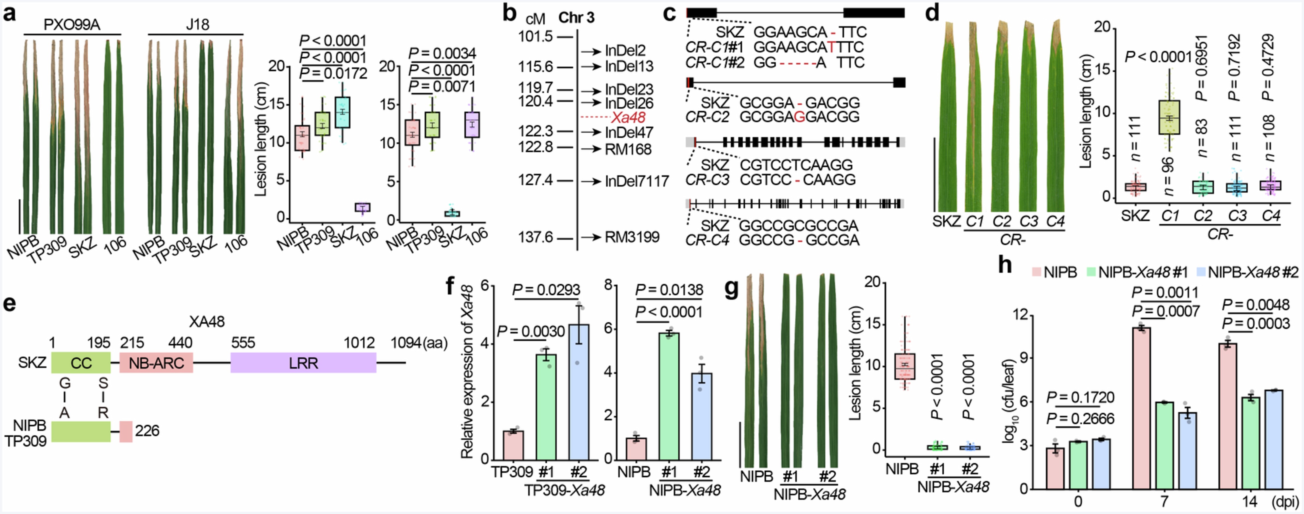 Extended Data Fig. 1: Map-based cloning identifies Xa48.