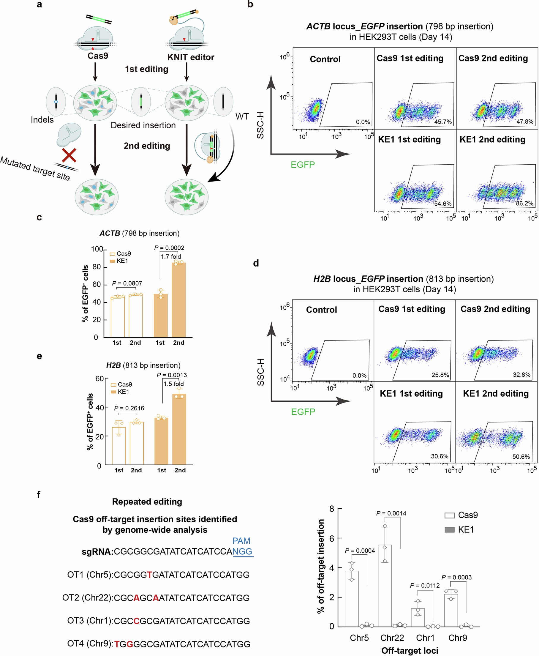 Extended Data Fig. 4: KNIT editing enables repeated editing to increase insertion efficiency.