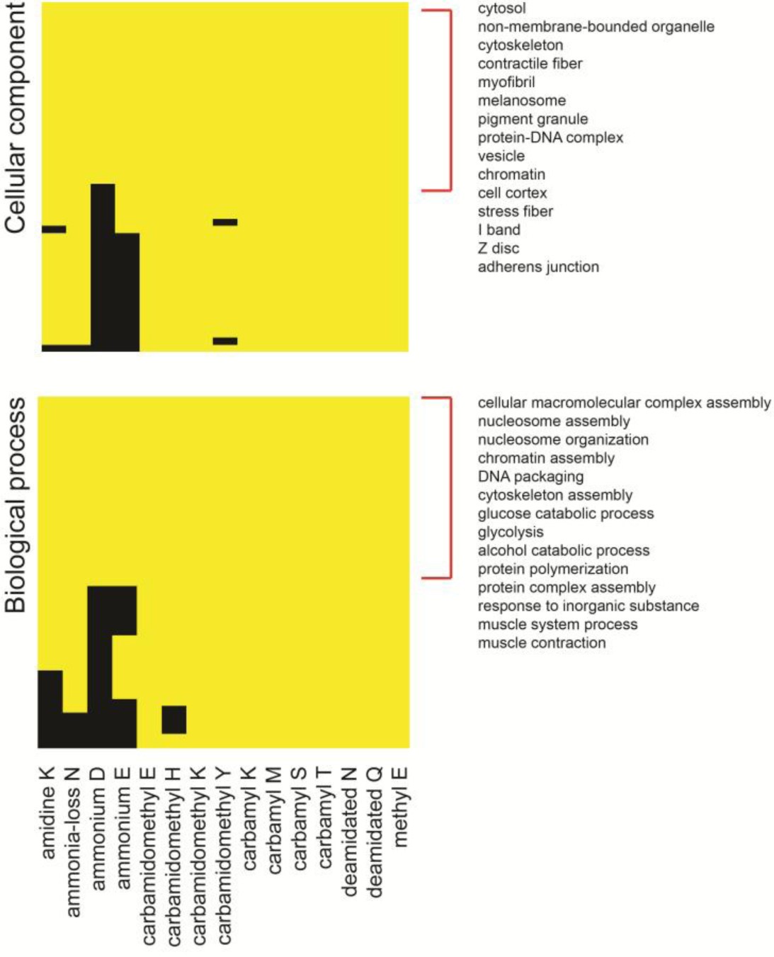 Supplementary Figure 12: Accounting for ontologies enriched among post-isolation modifications.