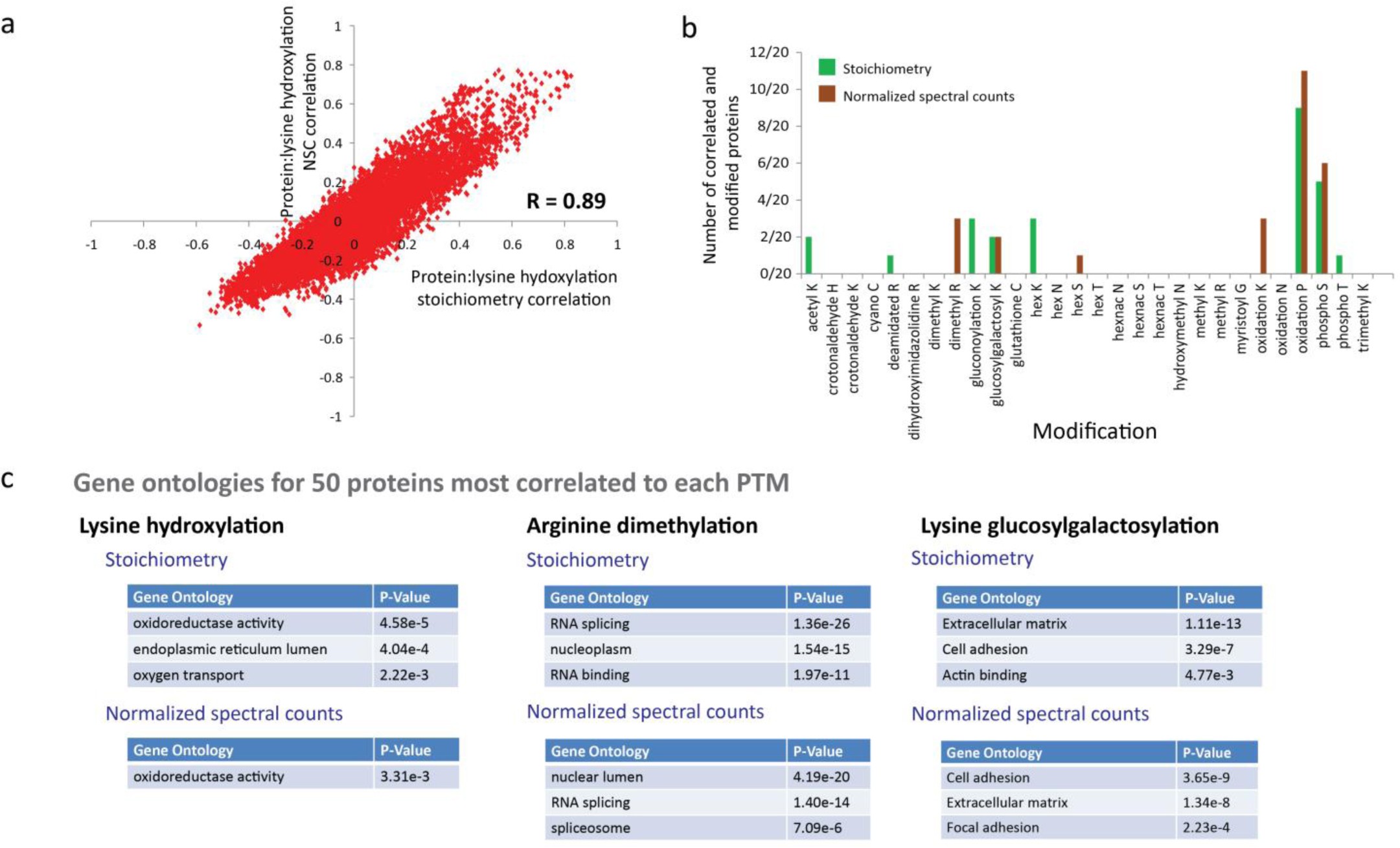 Supplementary Figure 14: Proteins that correlate with PTM substrates share functional properties.