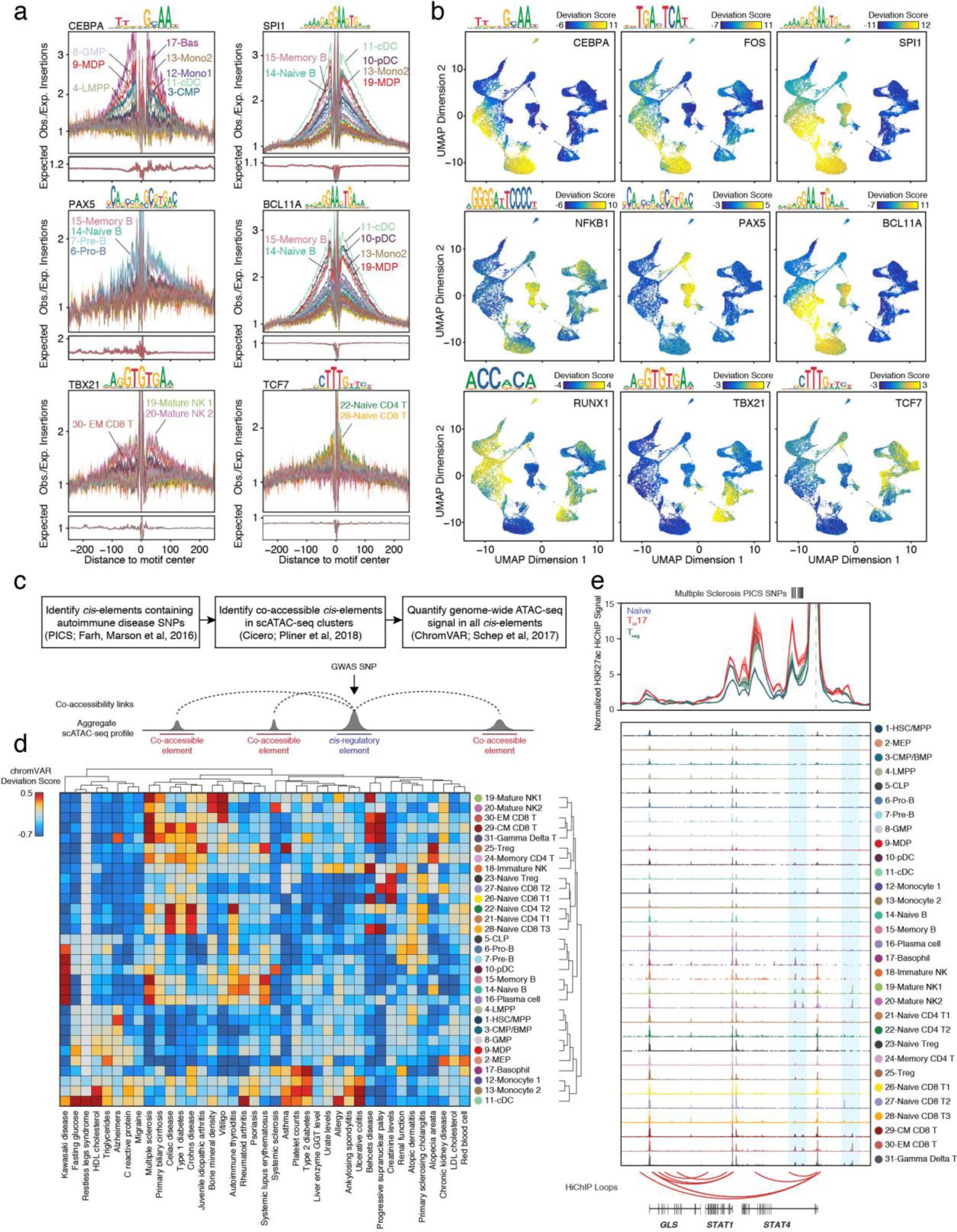 Supplementary Figure 5: TF motif accessibility in hematopoiesis and cell type-specific GWAS enrichment.