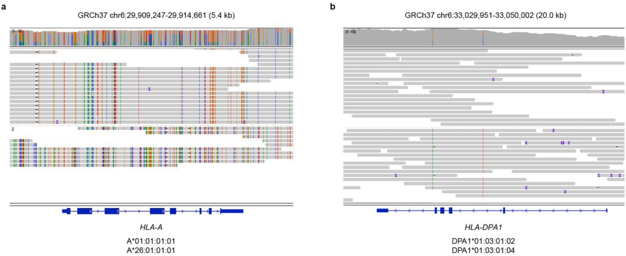 Supplementary Figure 3
