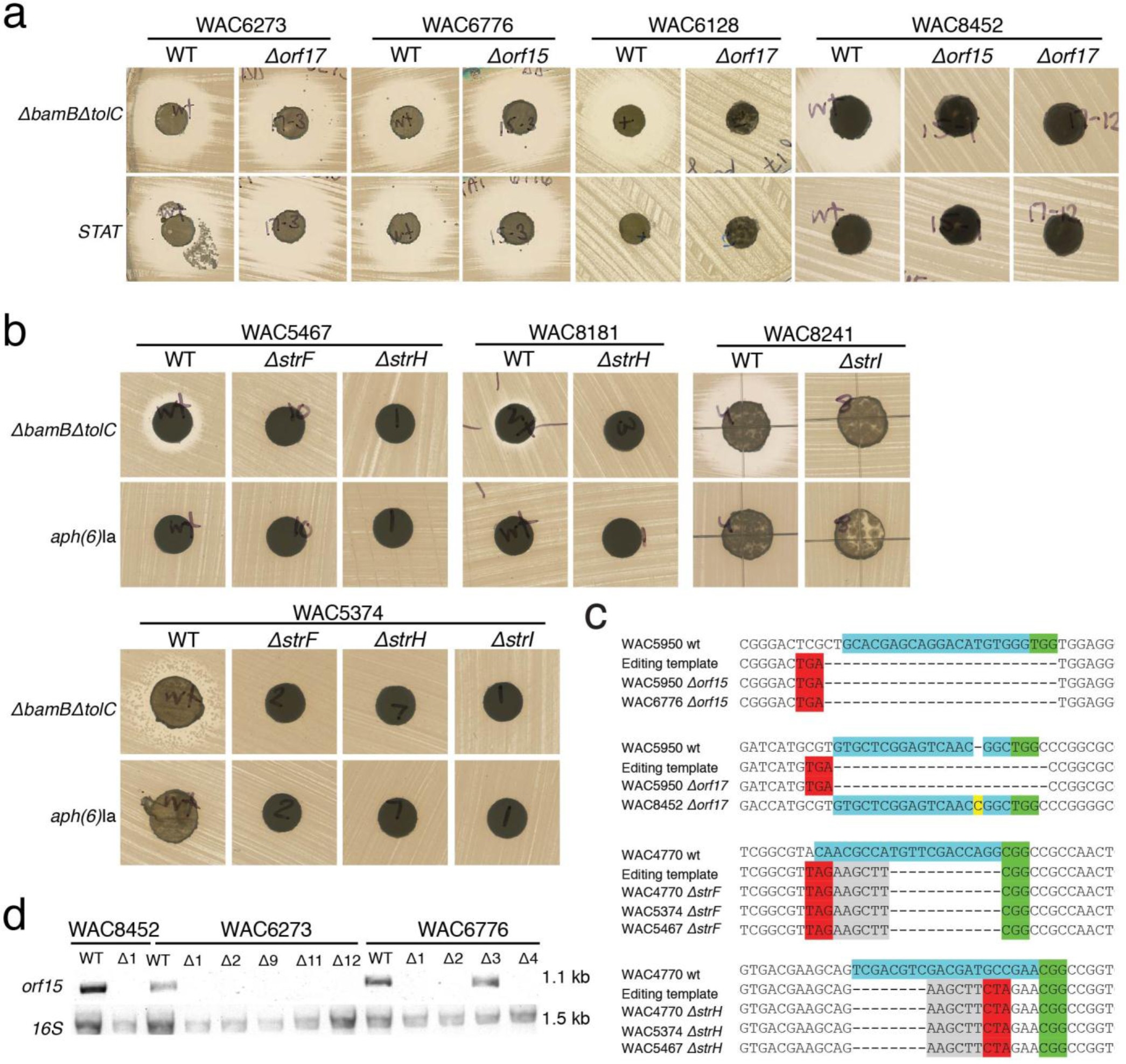 Supplementary Figure 3