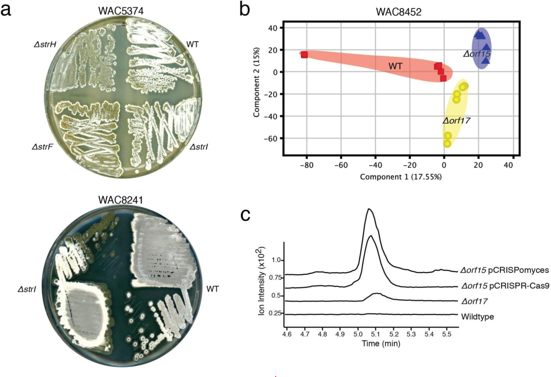Supplementary Figure 5