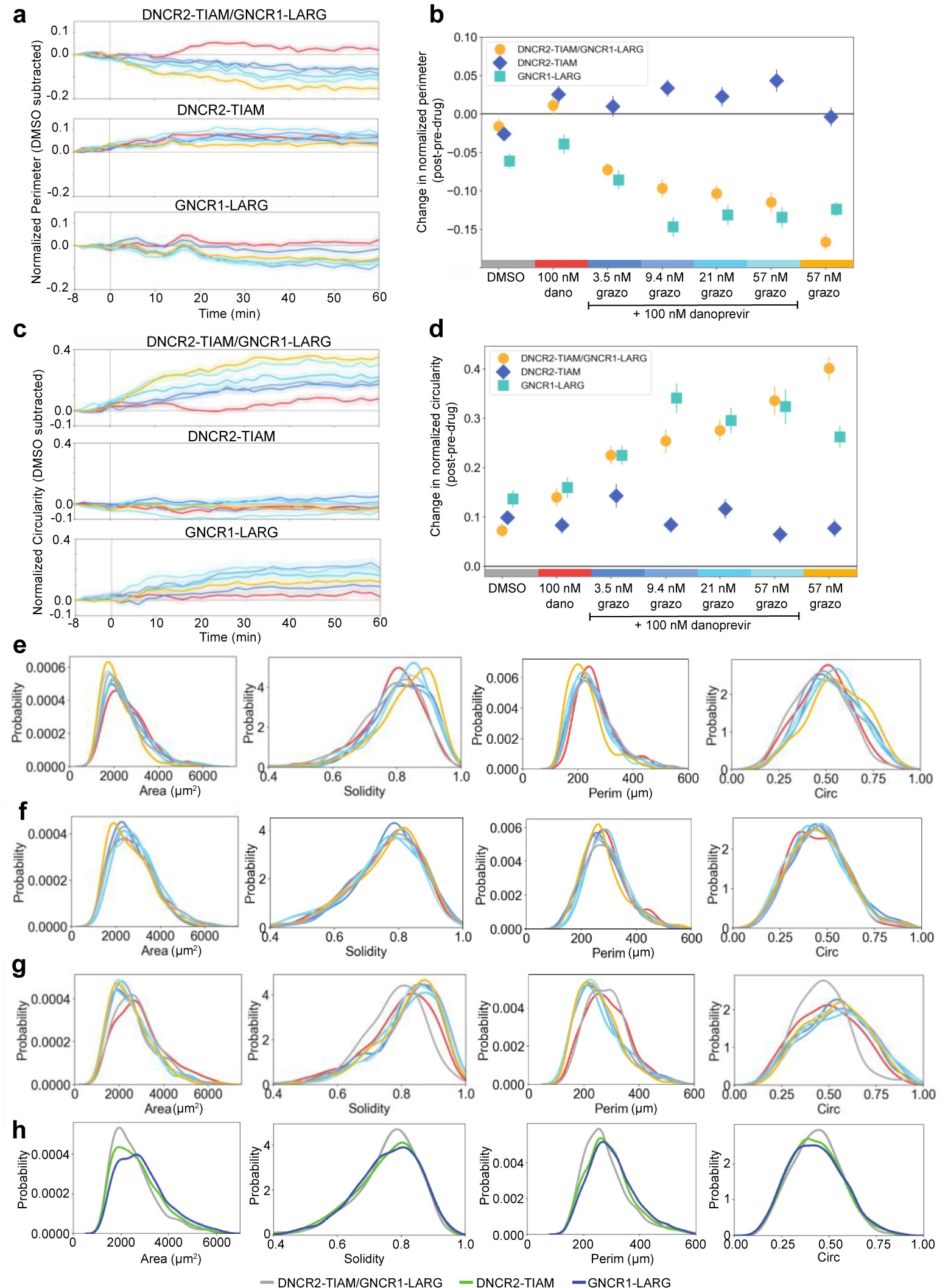 Supplementary Figure 12: Proportional control of RhoA and Rac1 activation in HeLa cells.