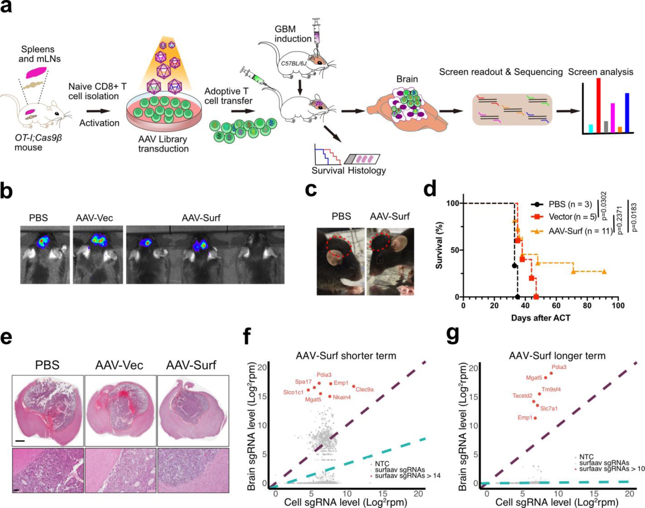 Supplementary Figure 5